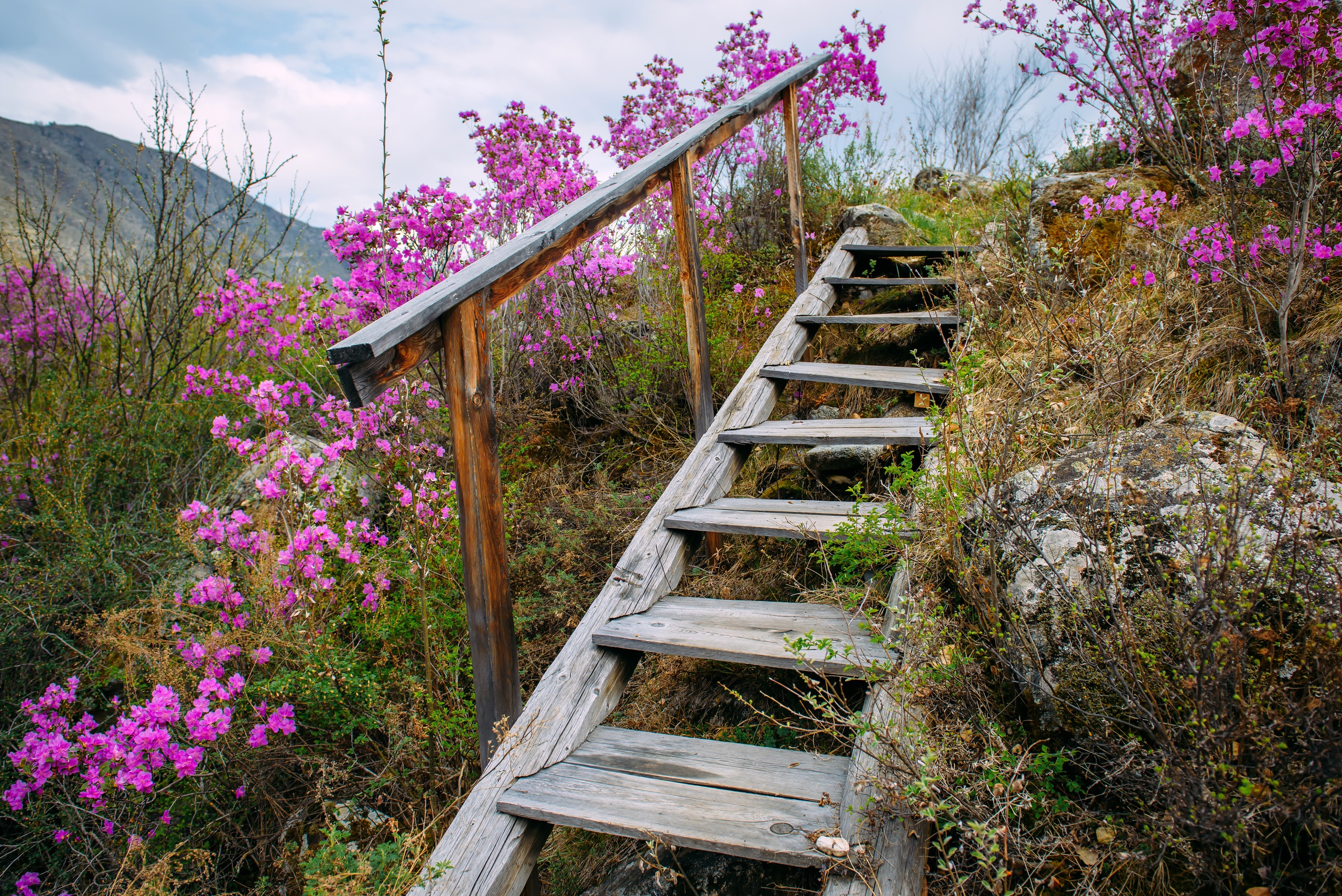 Алтай весной | Altai in spring. Свадебный и семейный фотограф в Новосибирске Александр Счастный