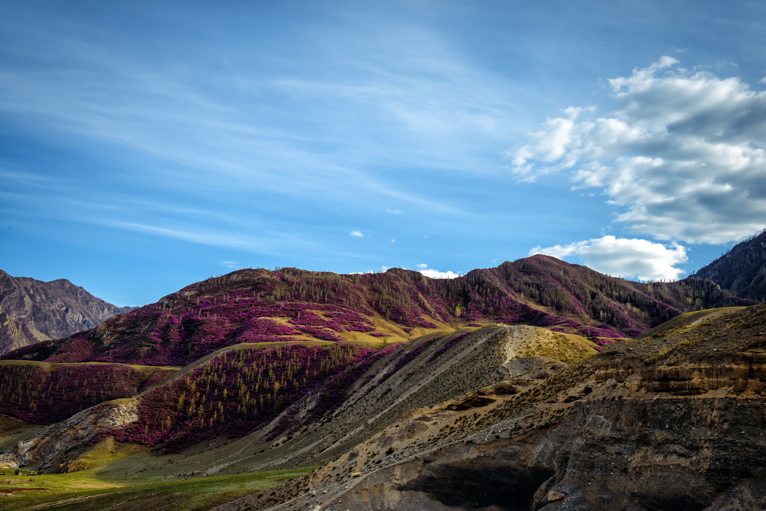 Алтай весной | Altai in spring. Свадебный и семейный фотограф в Новосибирске Александр Счастный