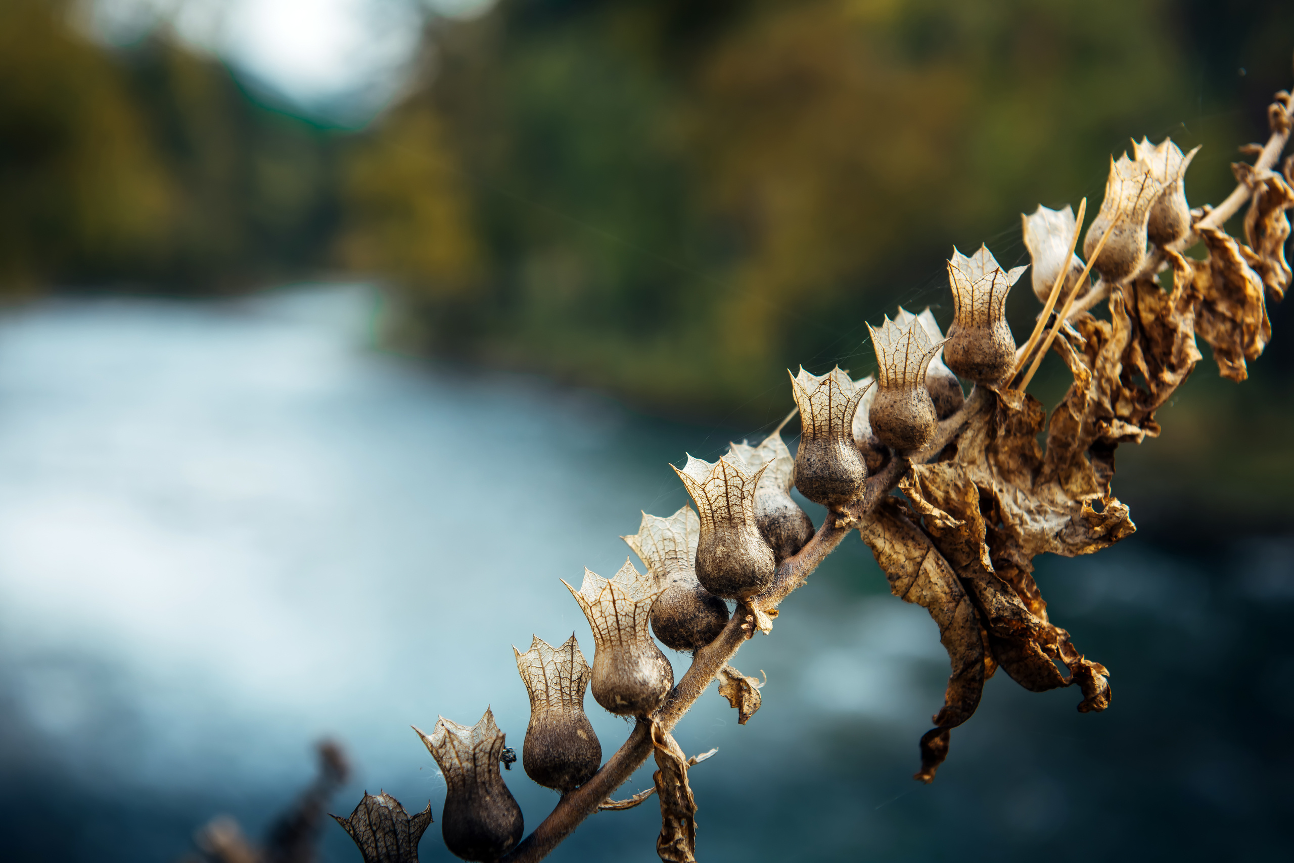 Алтай осенью | Altai in Autumn. Свадебный и семейный фотограф в Новосибирске Александр Счастный
