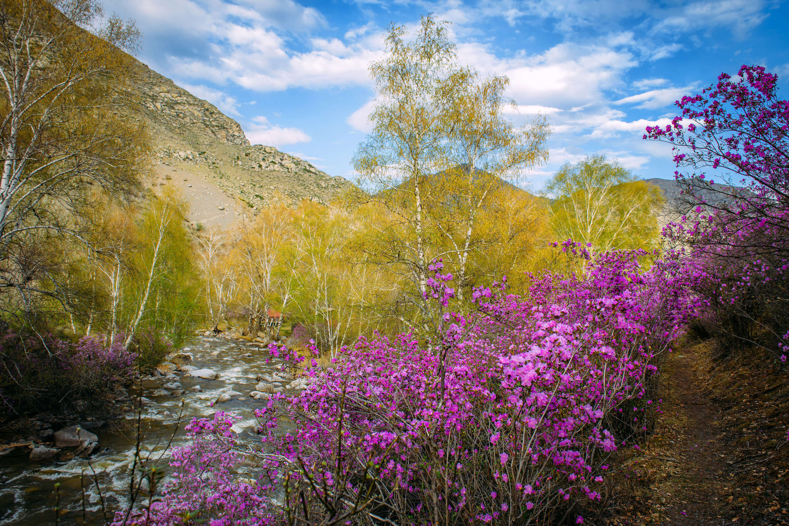 Алтай весной | Altai in spring. Свадебный и семейный фотограф в Новосибирске Александр Счастный