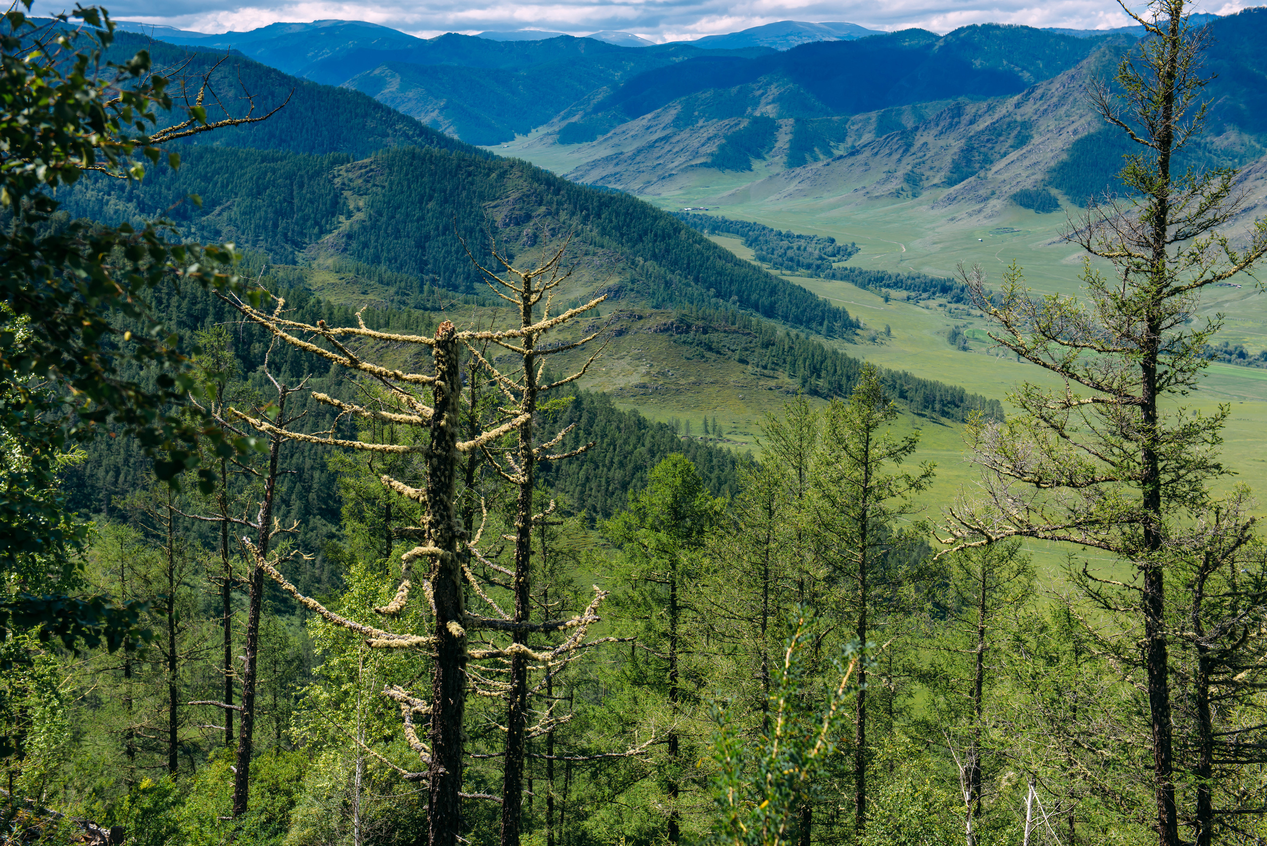 Алтай летом | Altai in summer. Свадебный и семейный фотограф в Новосибирске Александр Счастный
