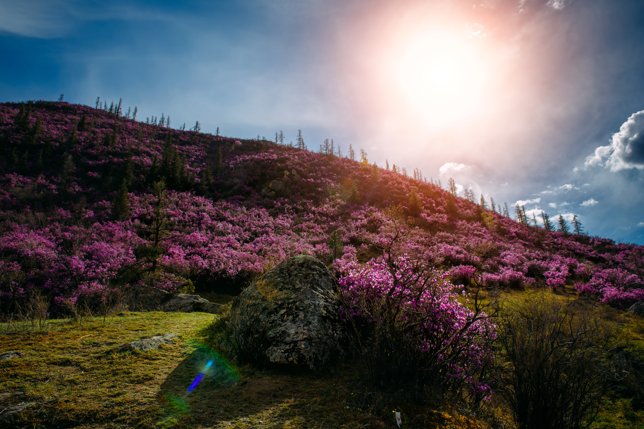 Алтай весной | Altai in spring. Свадебный и семейный фотограф в Новосибирске Александр Счастный