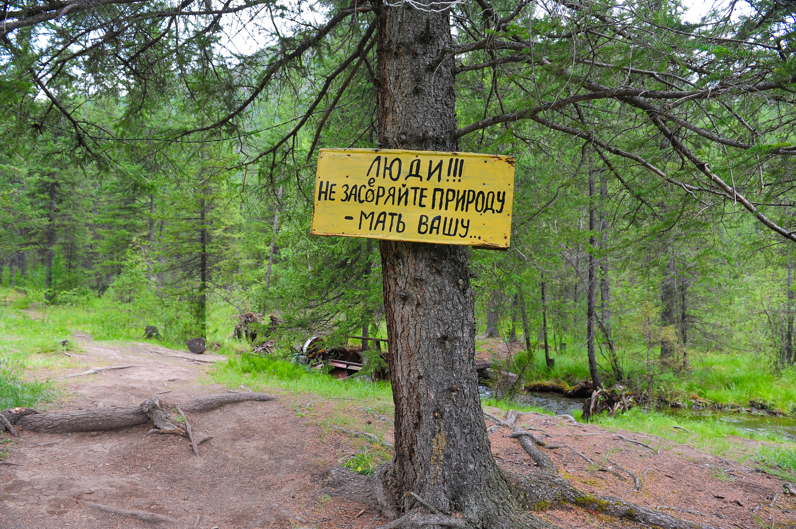Алтай летом | Altai in summer. Свадебный и семейный фотограф в Новосибирске Александр Счастный