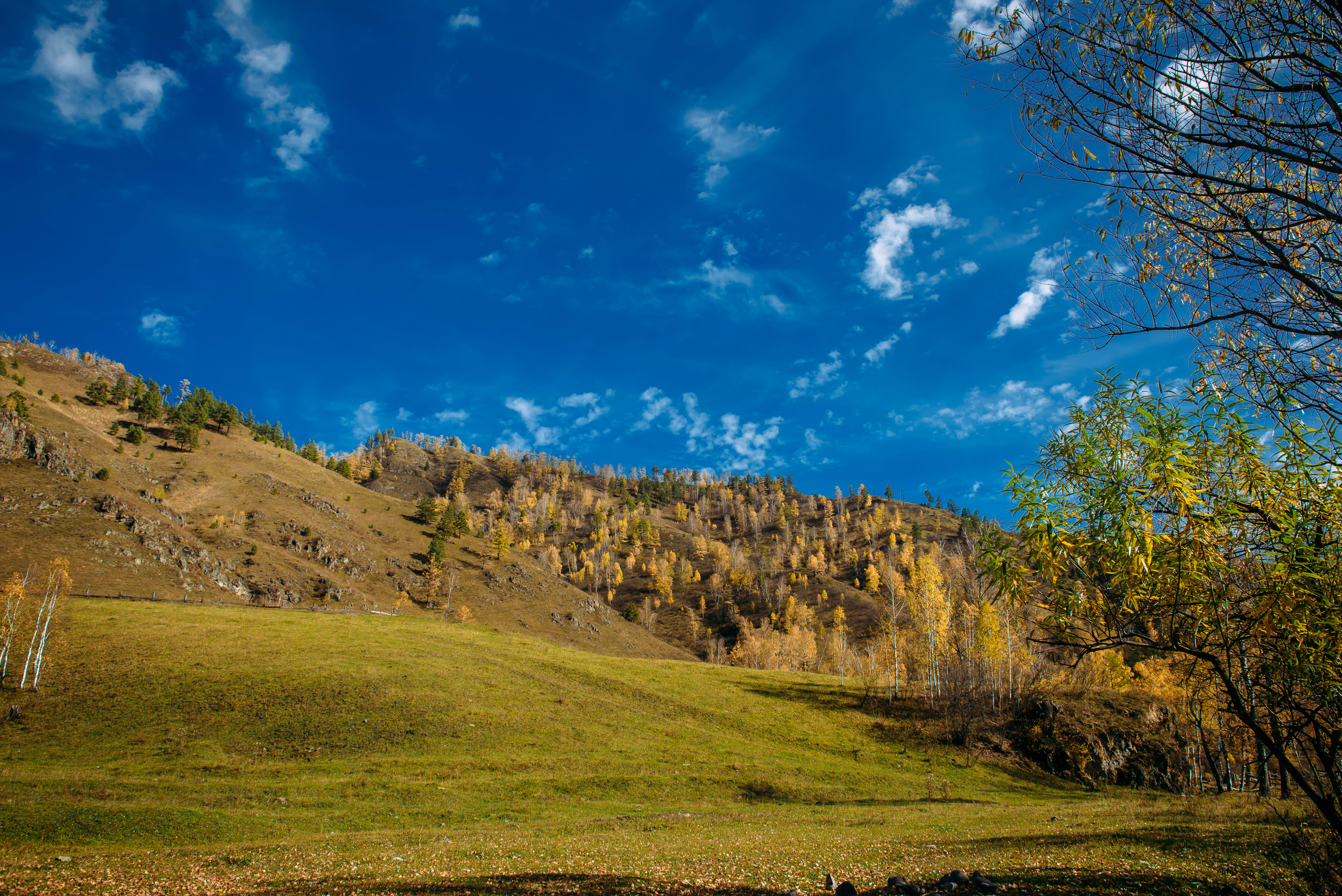 Алтай осенью | Altai in Autumn. Свадебный и семейный фотограф в Новосибирске Александр Счастный