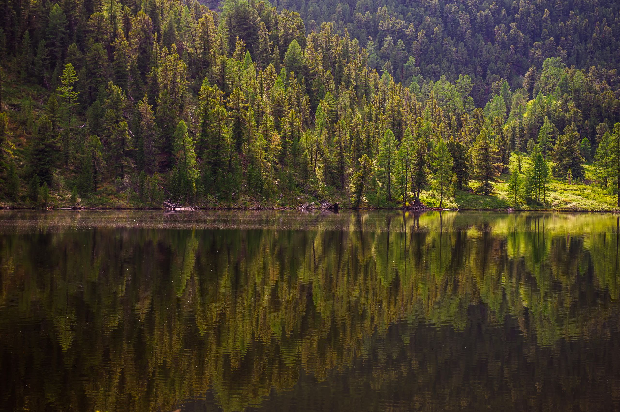 Алтай летом | Altai in summer. Свадебный и семейный фотограф в Новосибирске Александр Счастный