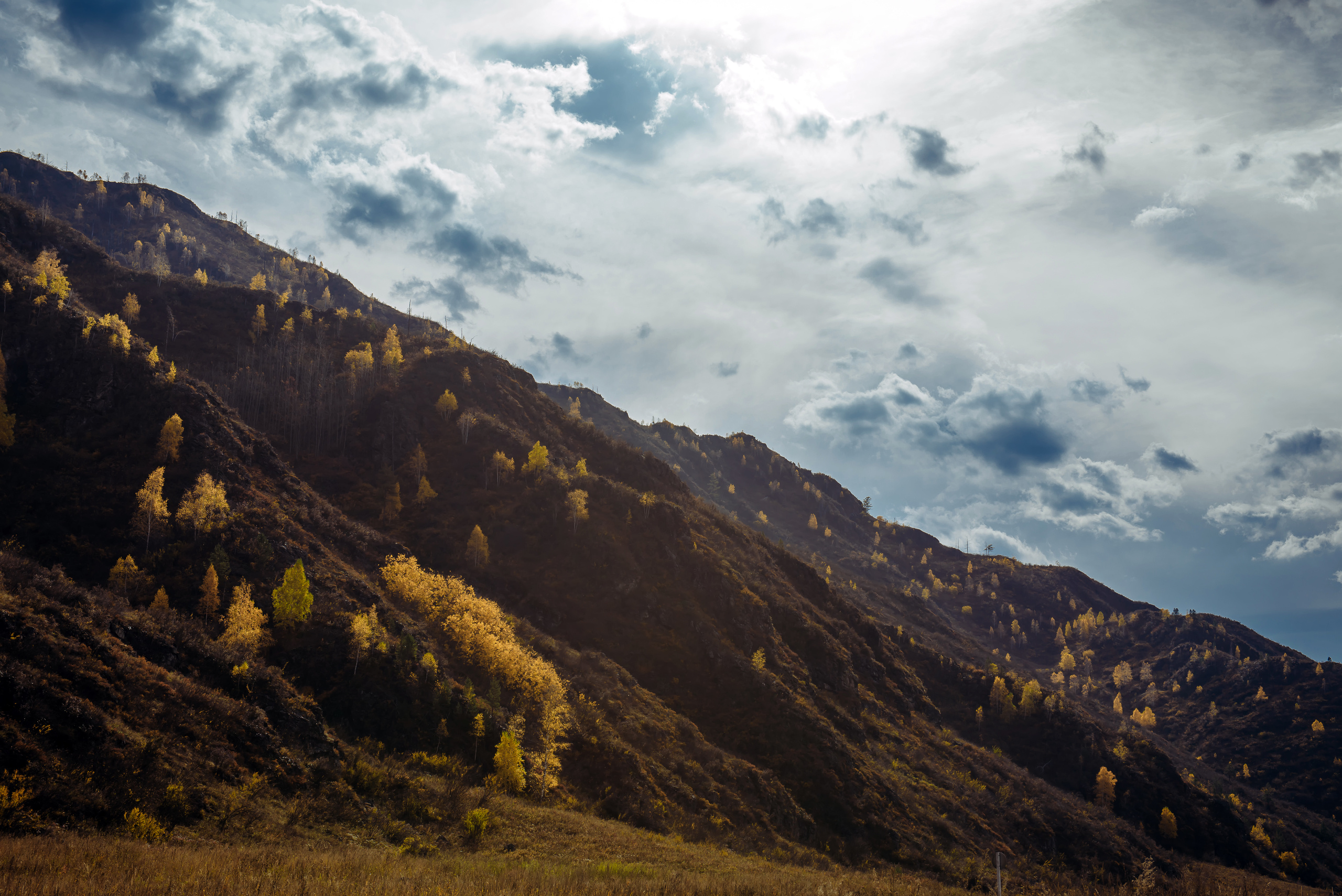 Алтай осенью | Altai in Autumn. Свадебный и семейный фотограф в Новосибирске Александр Счастный