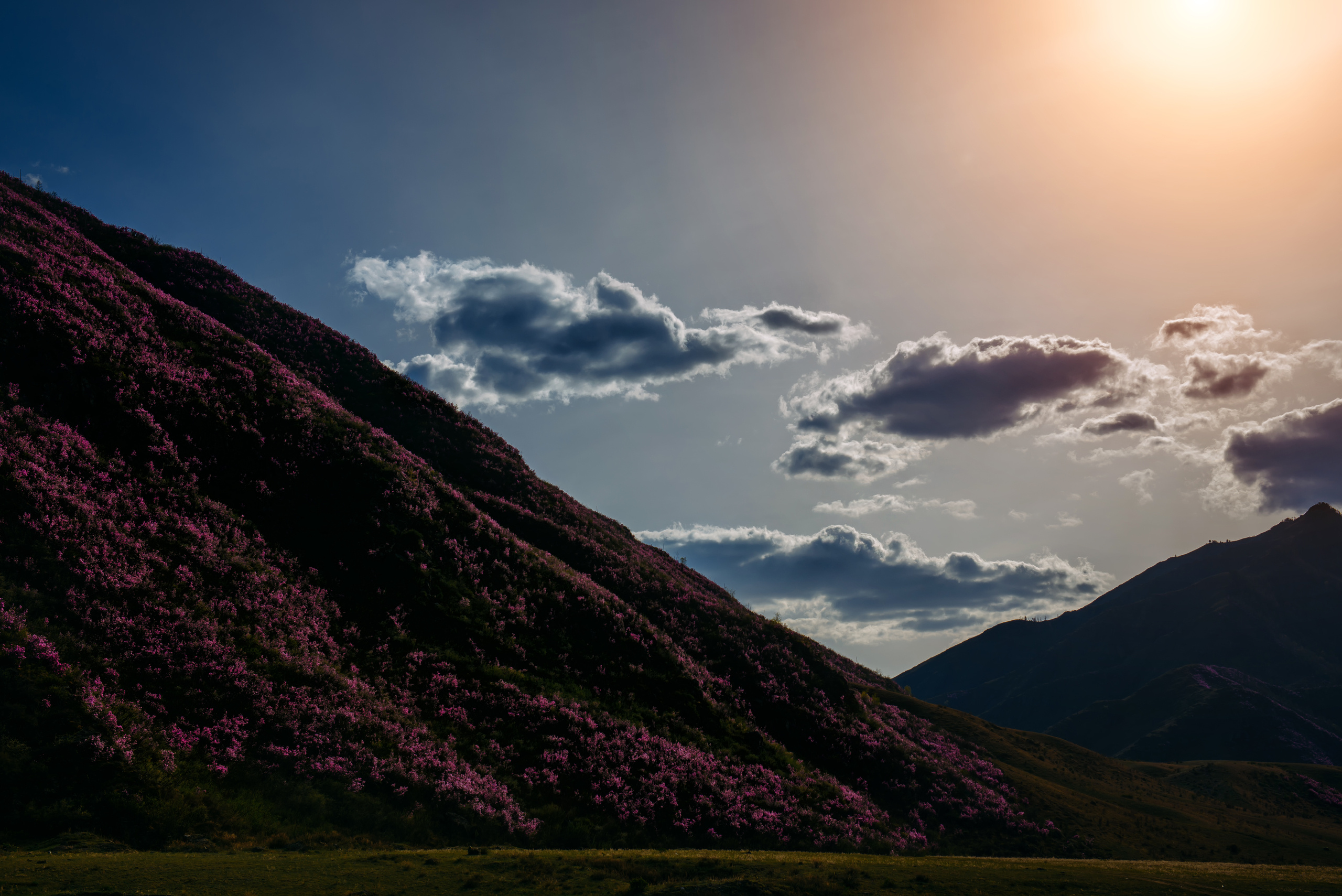 Алтай весной | Altai in spring. Свадебный и семейный фотограф в Новосибирске Александр Счастный