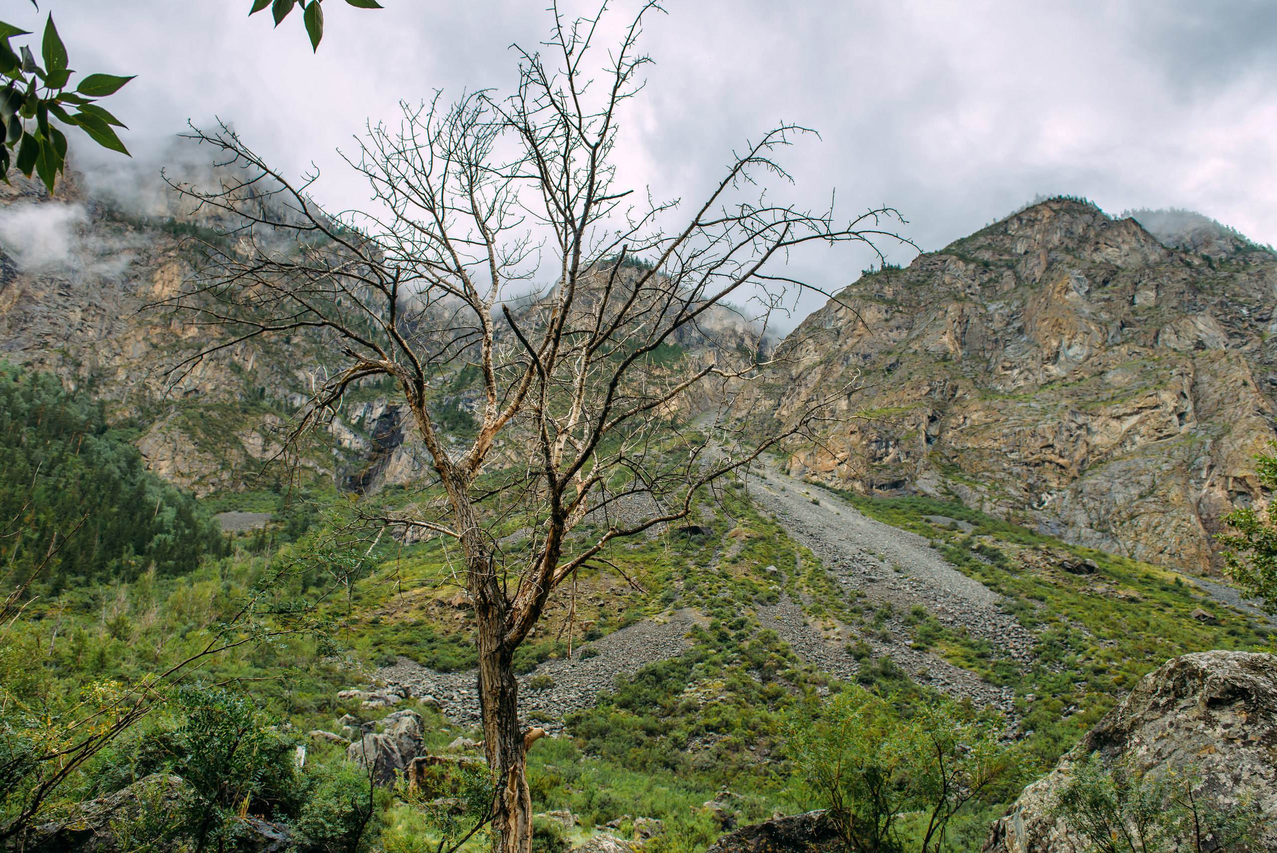 Алтай летом | Altai in summer. Свадебный и семейный фотограф в Новосибирске Александр Счастный