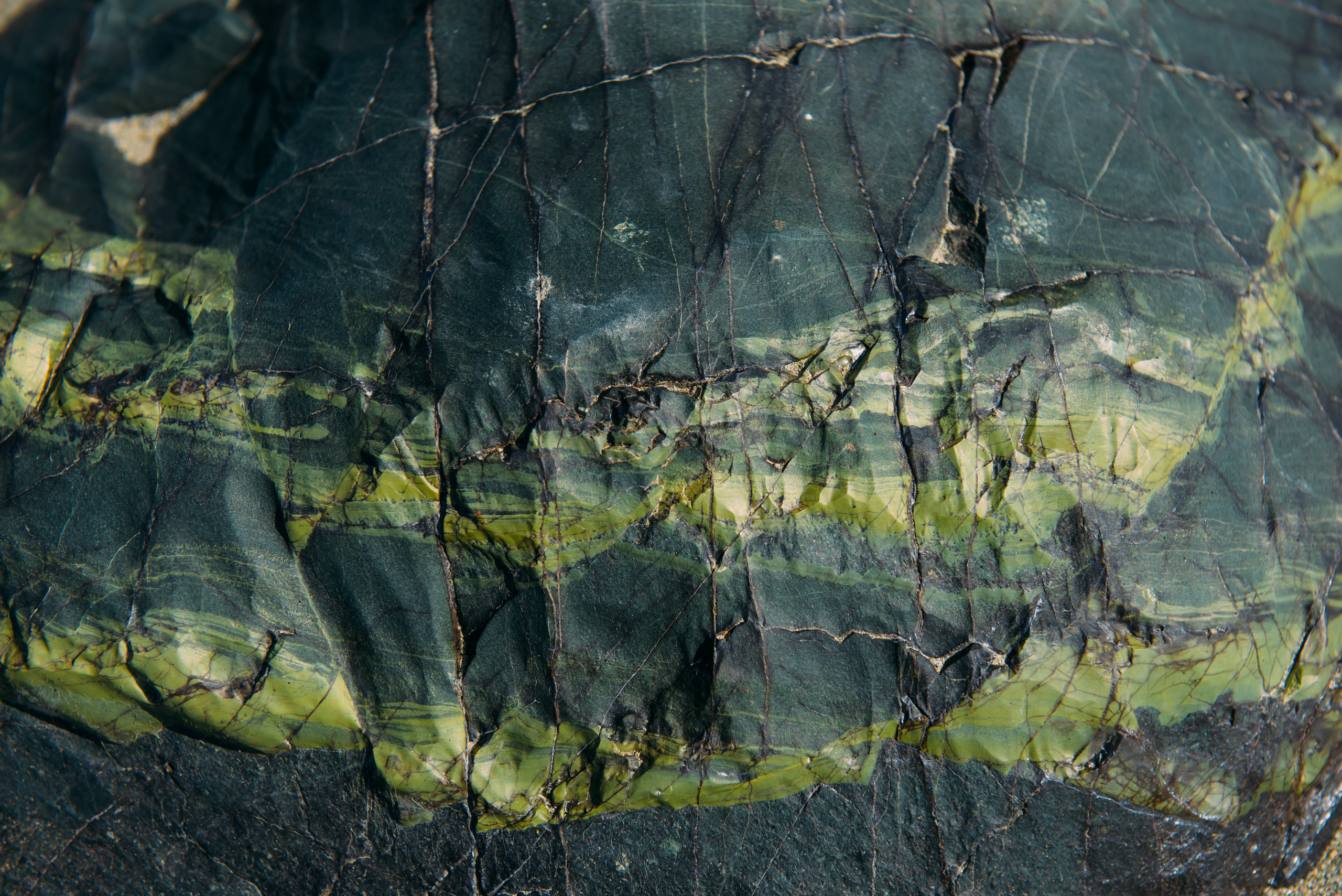 Алтай летом | Altai in summer. Свадебный и семейный фотограф в Новосибирске Александр Счастный