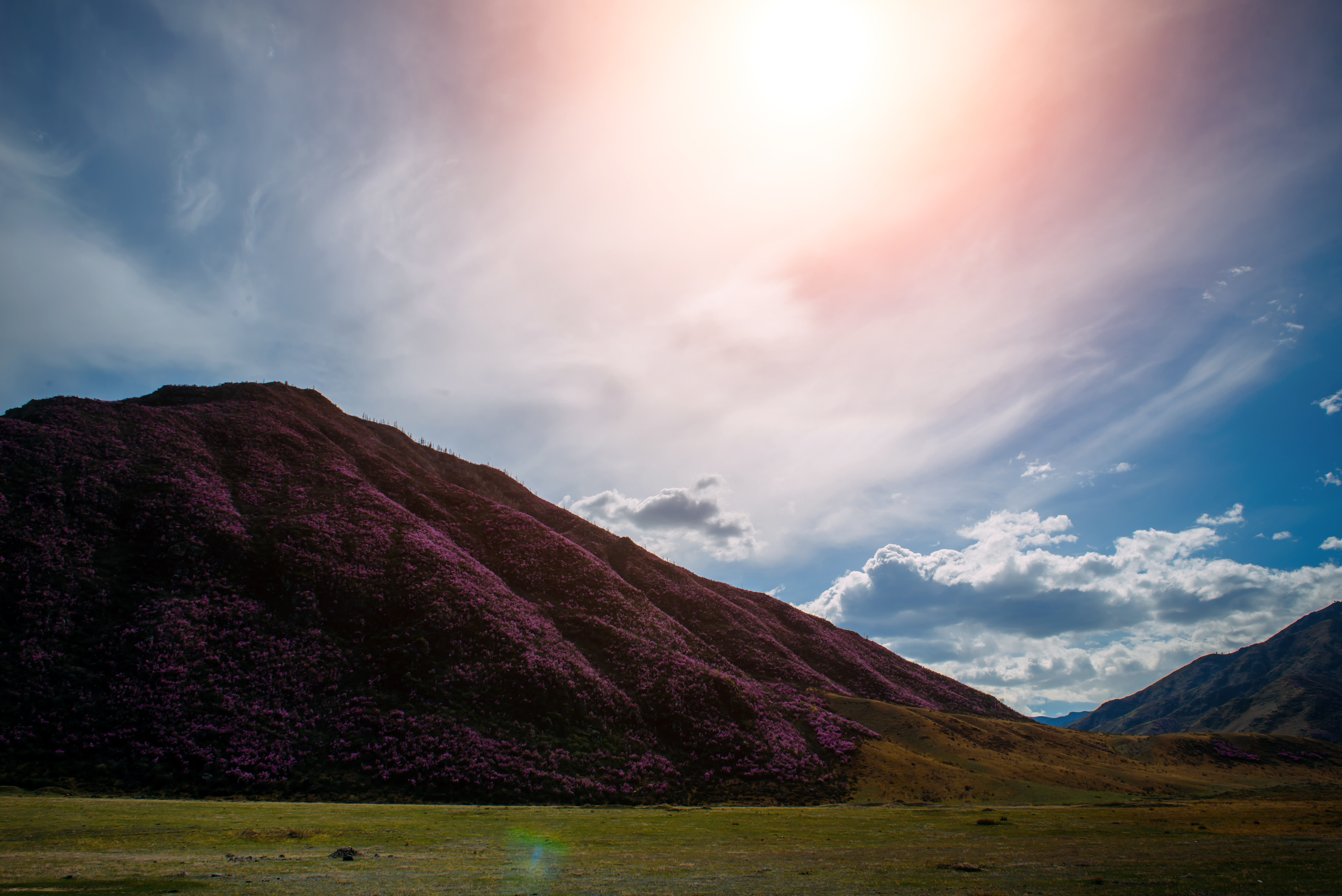 Алтай весной | Altai in spring. Свадебный и семейный фотограф в Новосибирске Александр Счастный