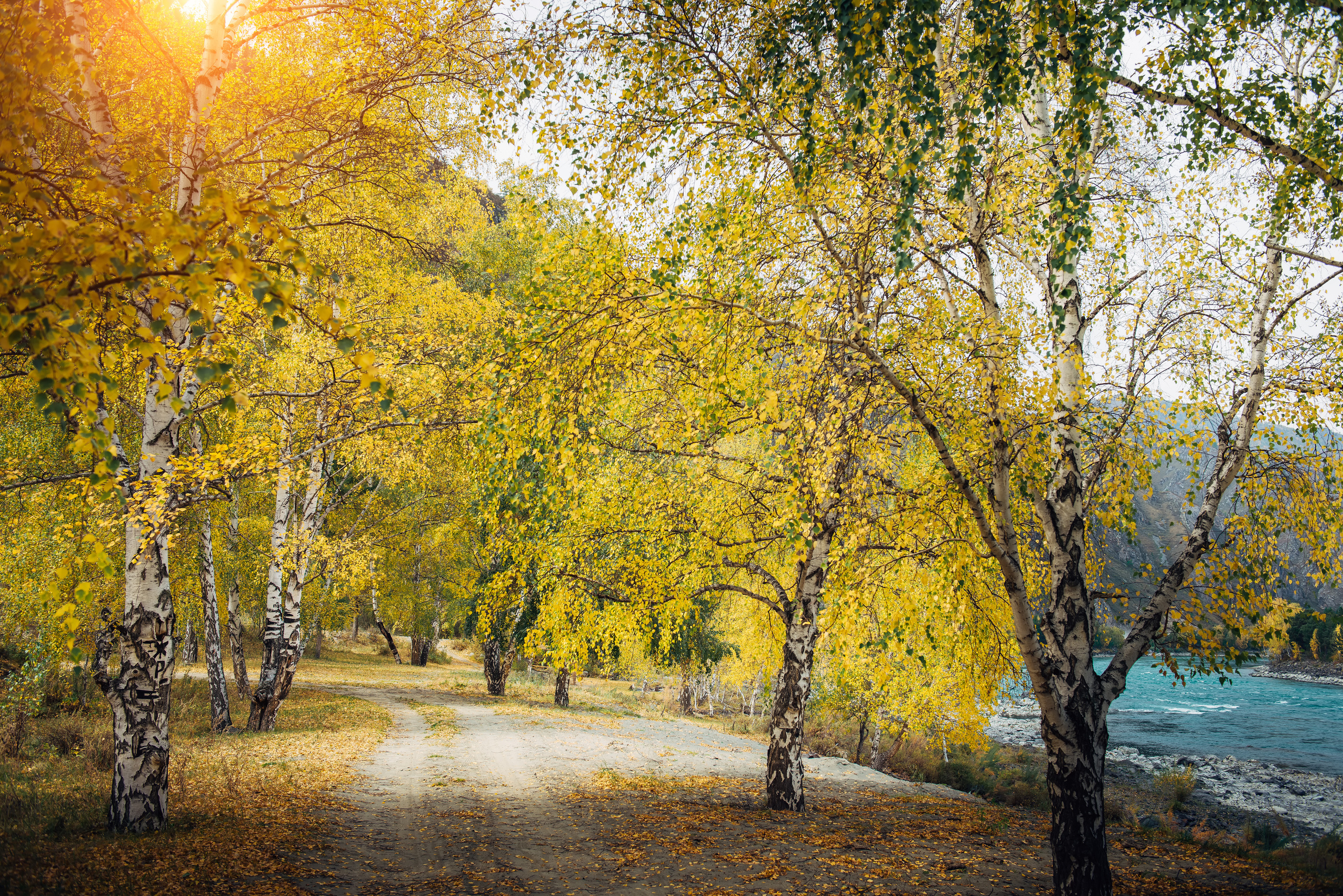 Алтай осенью | Altai in Autumn. Свадебный и семейный фотограф в Новосибирске Александр Счастный