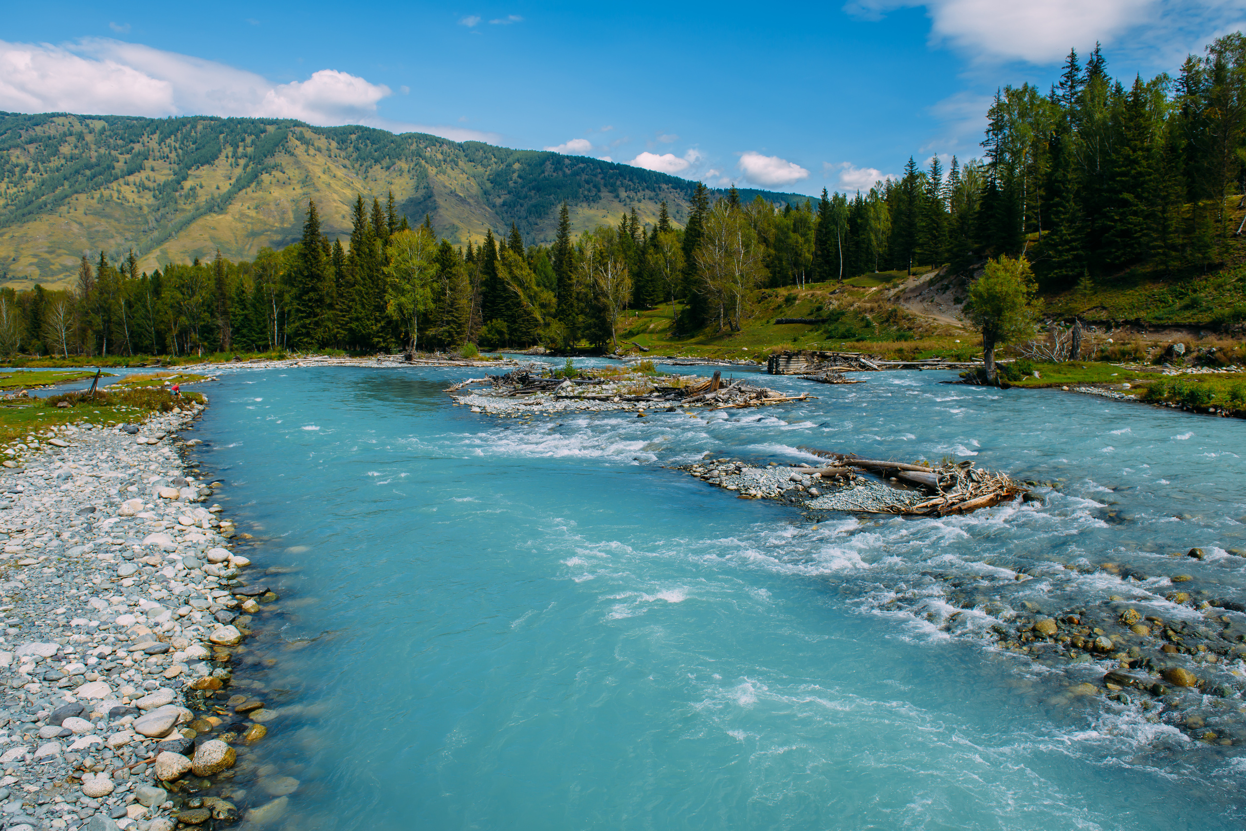Алтай летом | Altai in summer. Свадебный и семейный фотограф в Новосибирске Александр Счастный