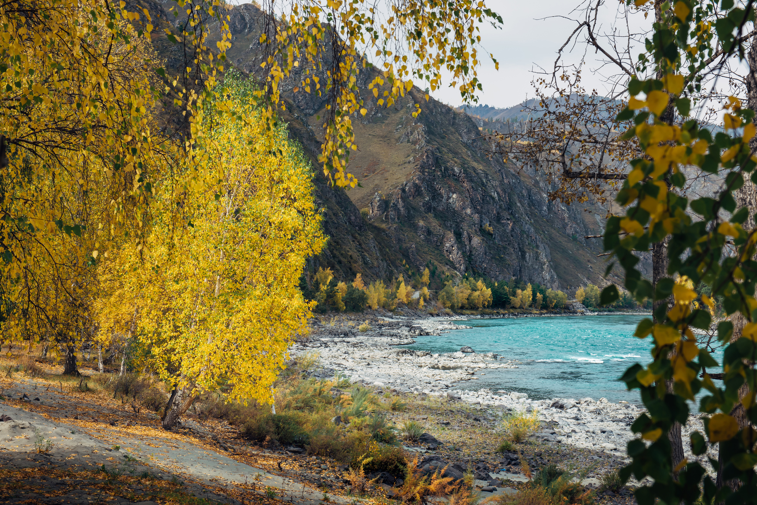 Алтай осенью | Altai in Autumn. Свадебный и семейный фотограф в Новосибирске Александр Счастный