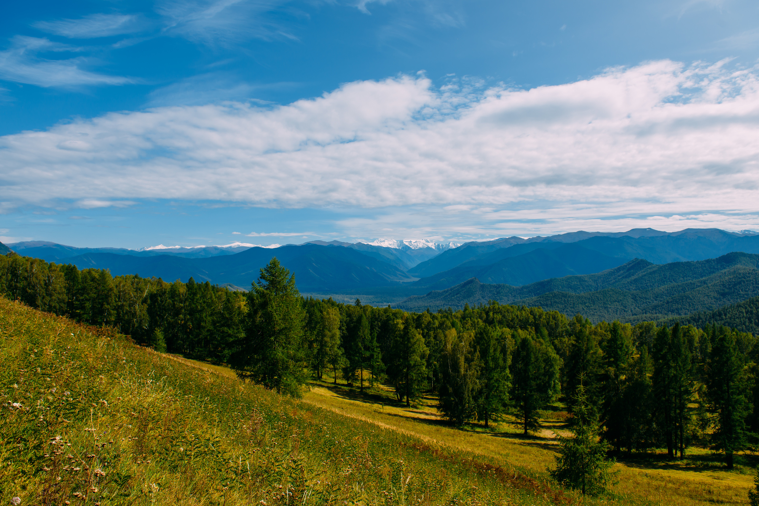 Алтай летом | Altai in summer. Свадебный и семейный фотограф в Новосибирске Александр Счастный