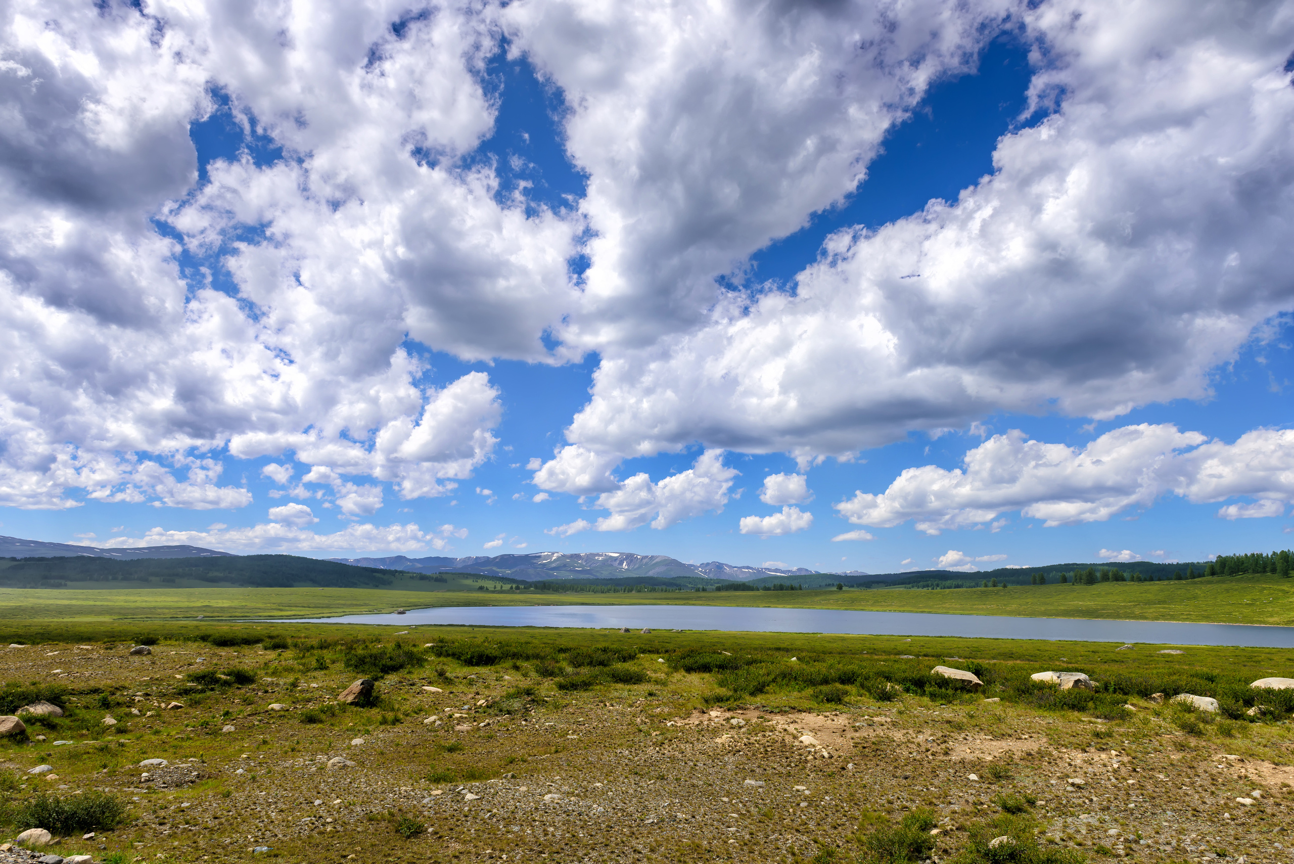 Алтай летом | Altai in summer. Свадебный и семейный фотограф в Новосибирске Александр Счастный