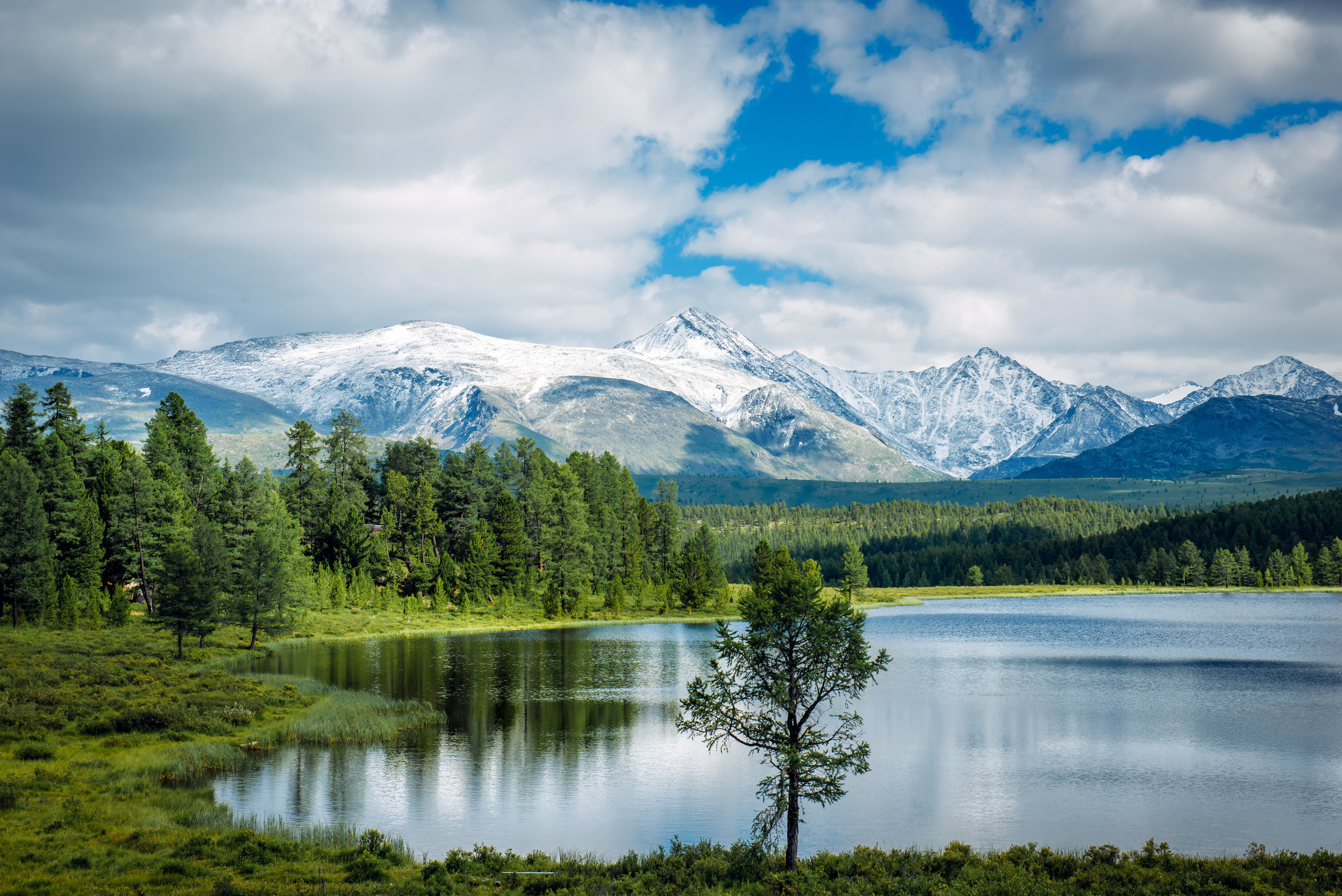 Алтай летом | Altai in summer. Свадебный и семейный фотограф в Новосибирске Александр Счастный