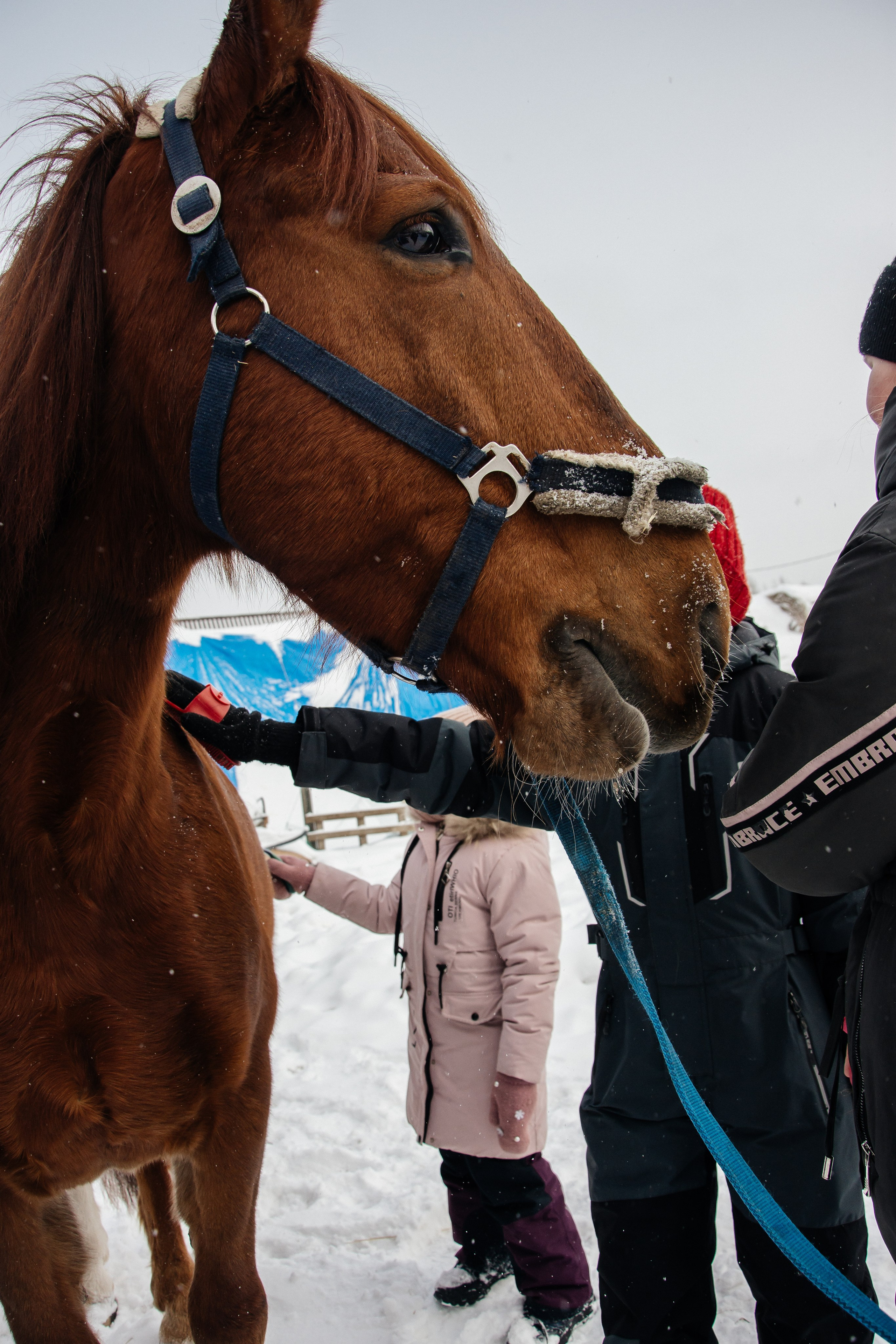 Детская прогулка. Фотограф на все случаи