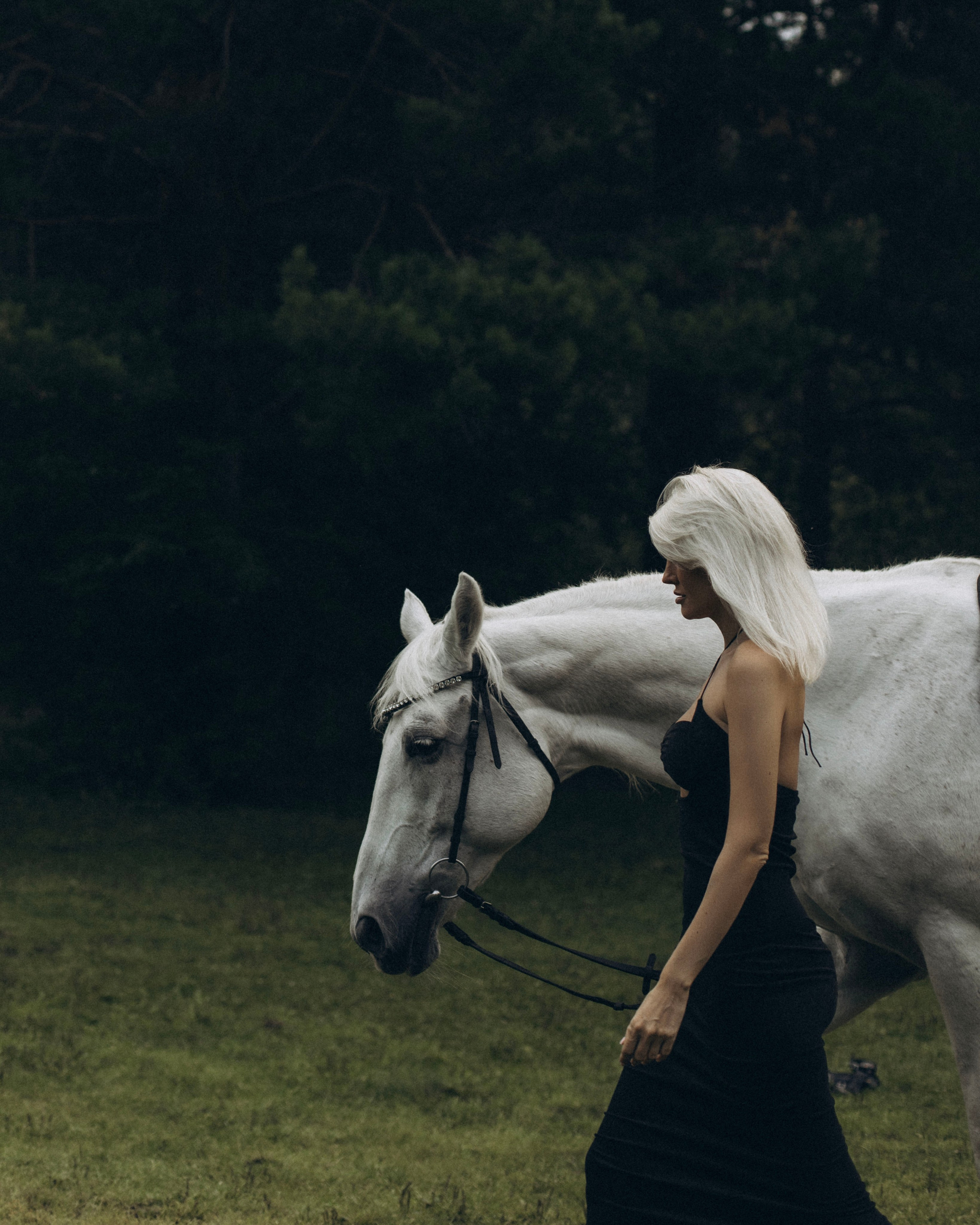 С Лошадьми. Фотограф