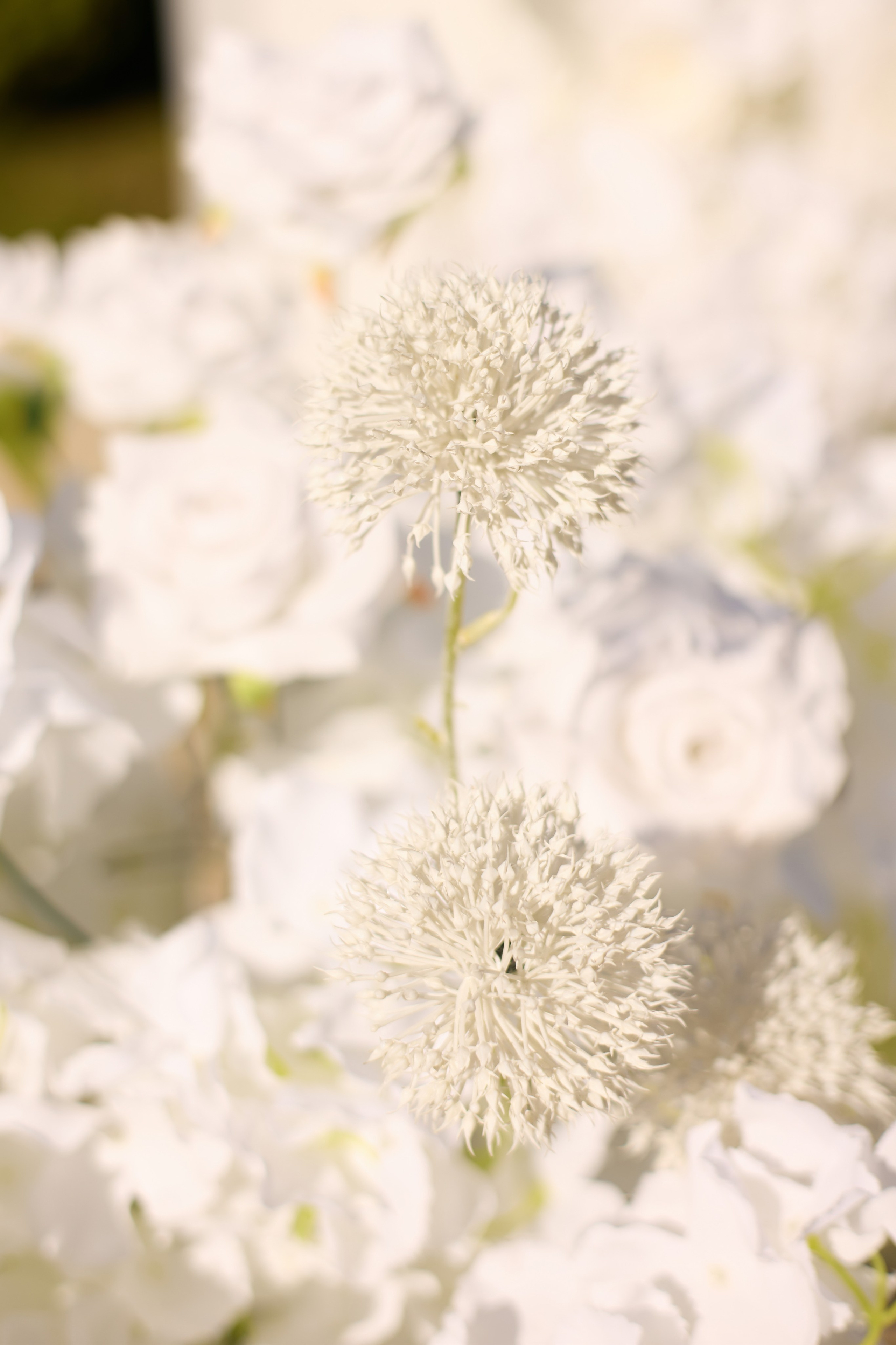 Артем и Эля. Свадебный и портретный фотограф в Воронеже Алёна Коренцова