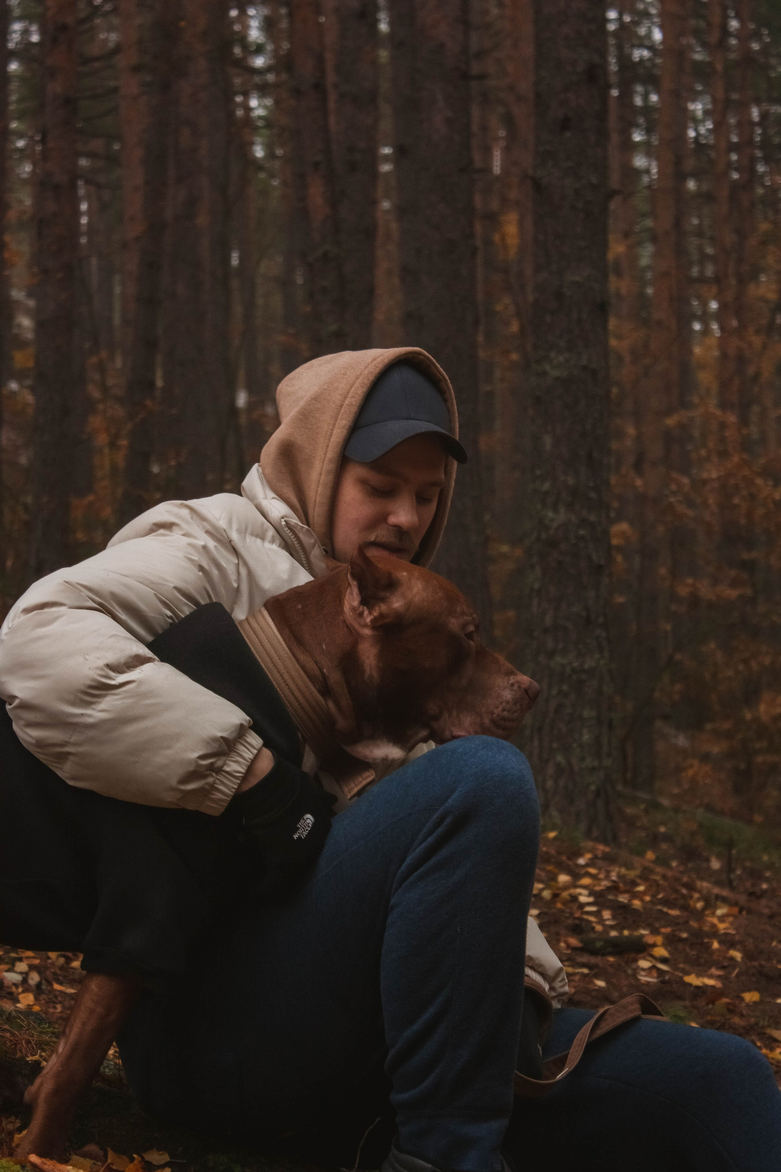 Айрон и Егор. Фотограф-анималист в Санкт-Петербурге Алина Яхонт