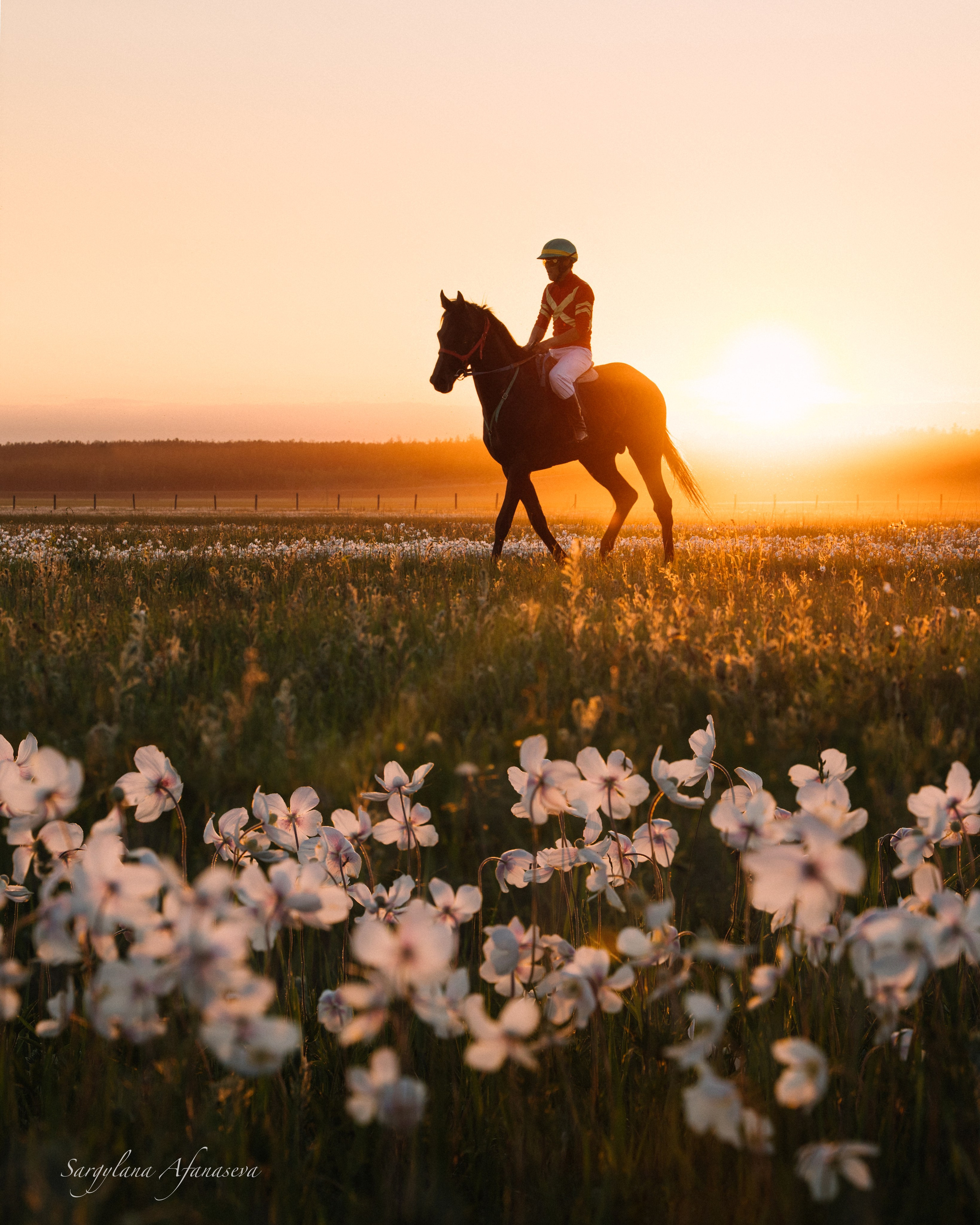 ПЕЙЗАЖ И ЛЮДИ. Саргылана Афанасьева