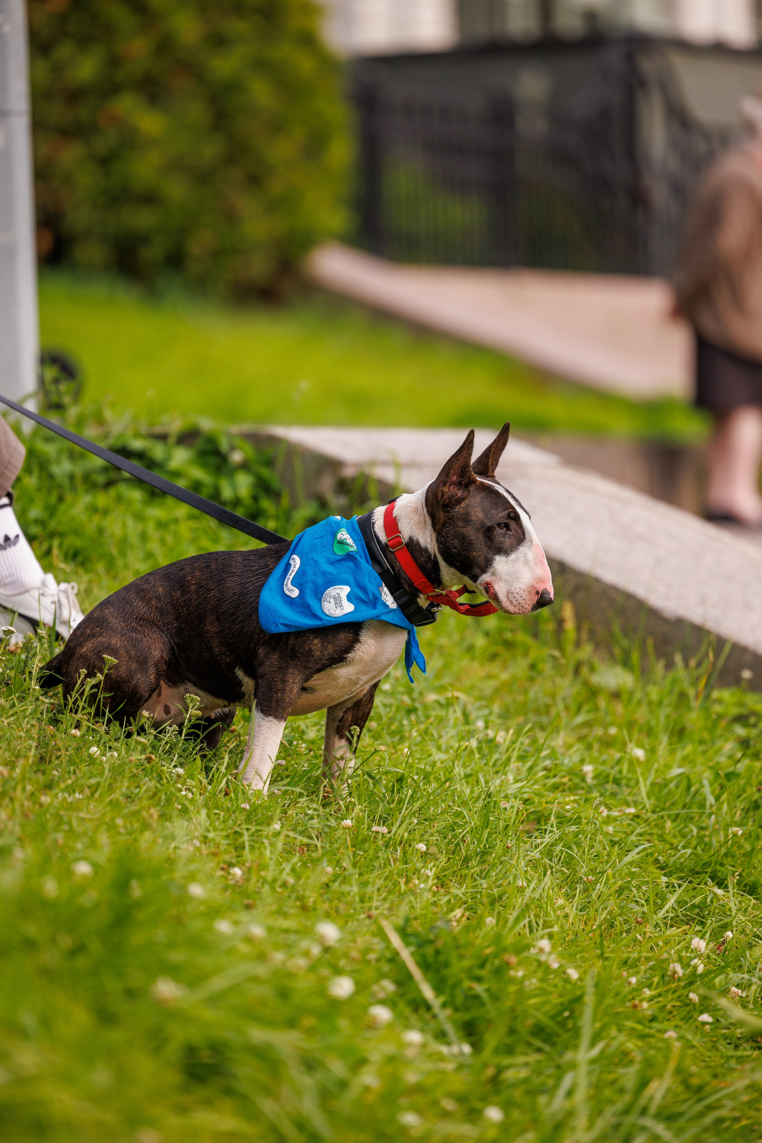PetShopDays2026. Фотограф Александр Заломаев