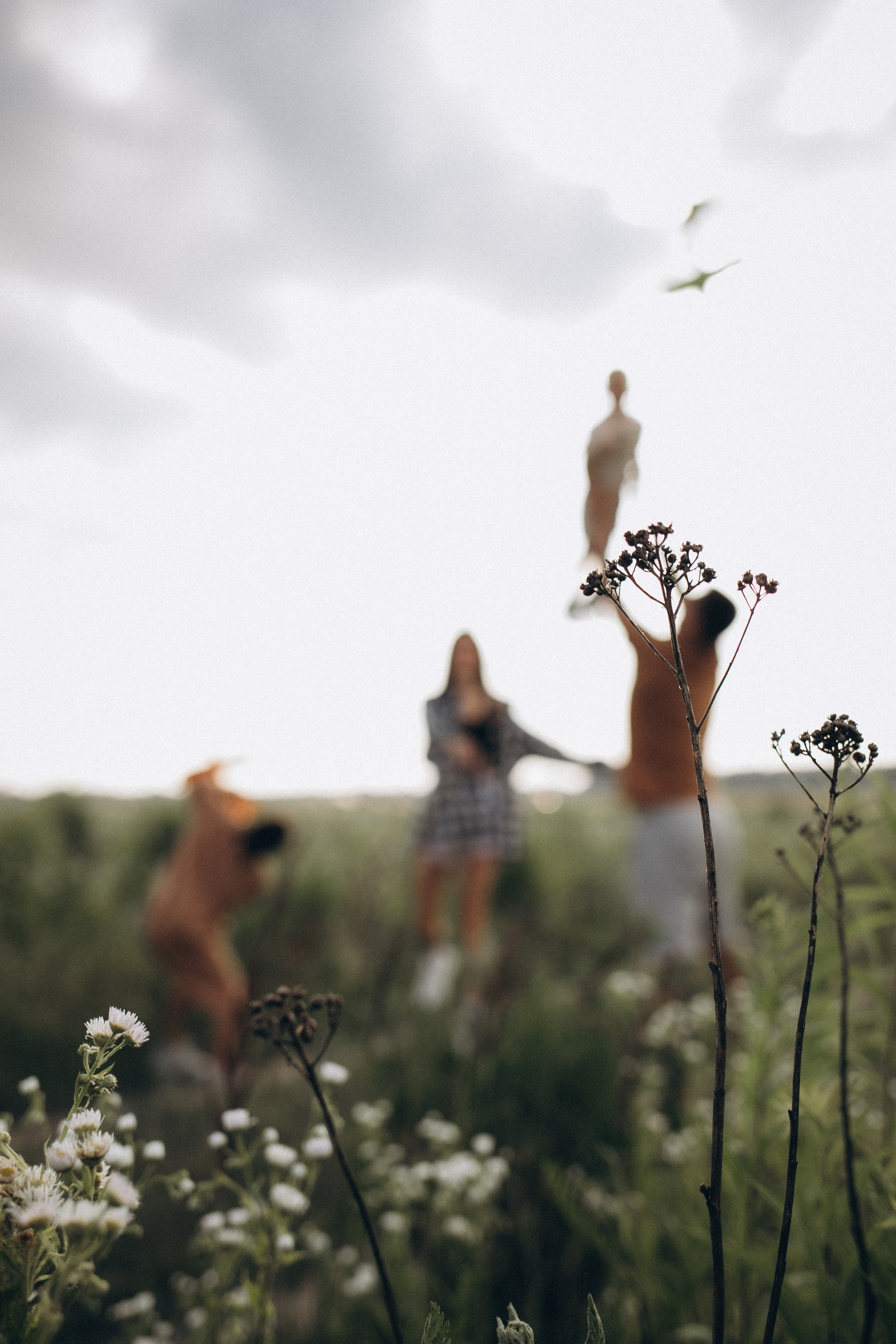 Саша, Женя, Никита и Саша. Семейный и свадебный фотограф Анна Кожокарь