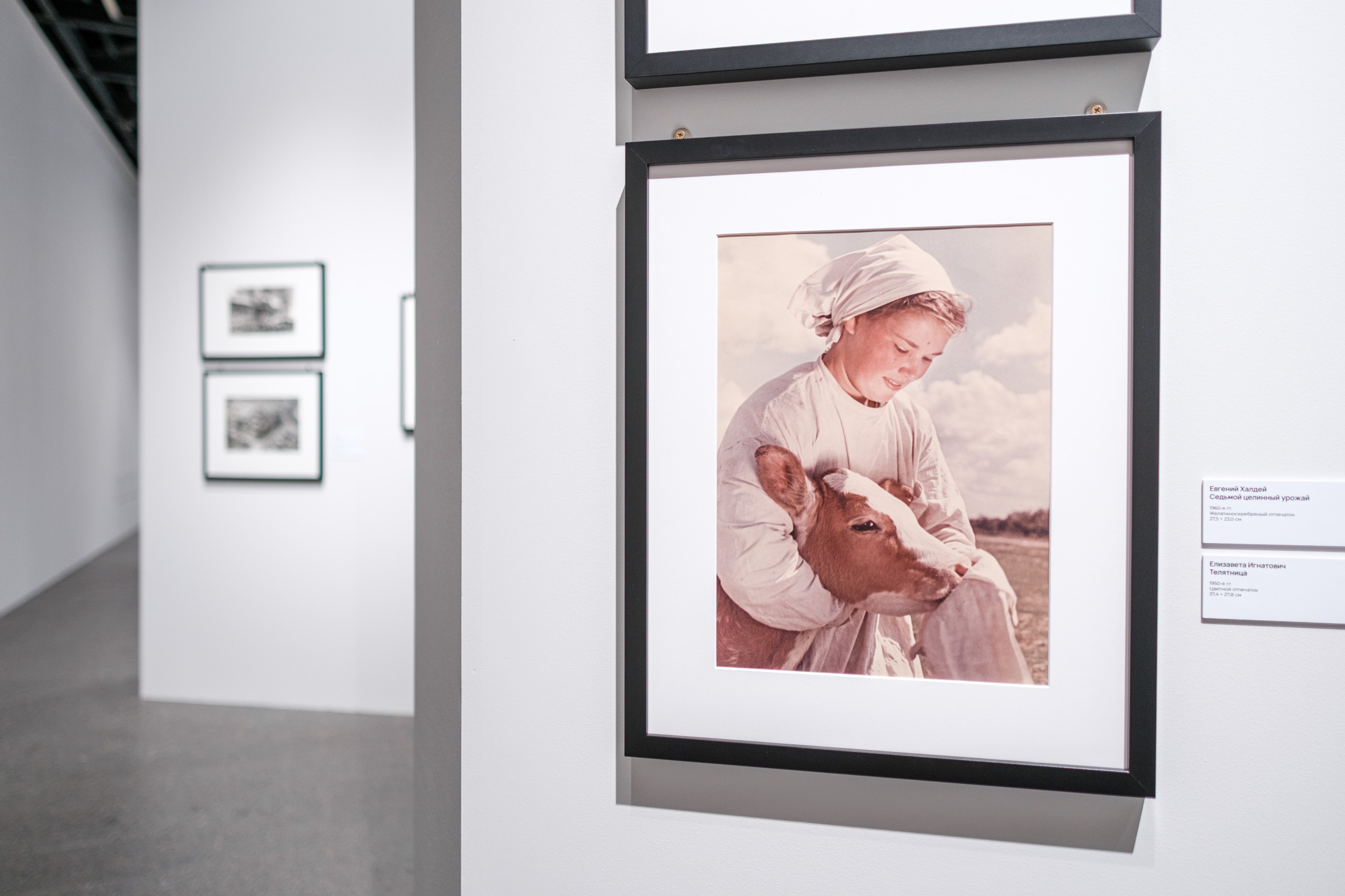 Выставочный проект «Фотоискусство. От дагеротипа до искусственного интеллекта». Фотограф Балаев Михаил