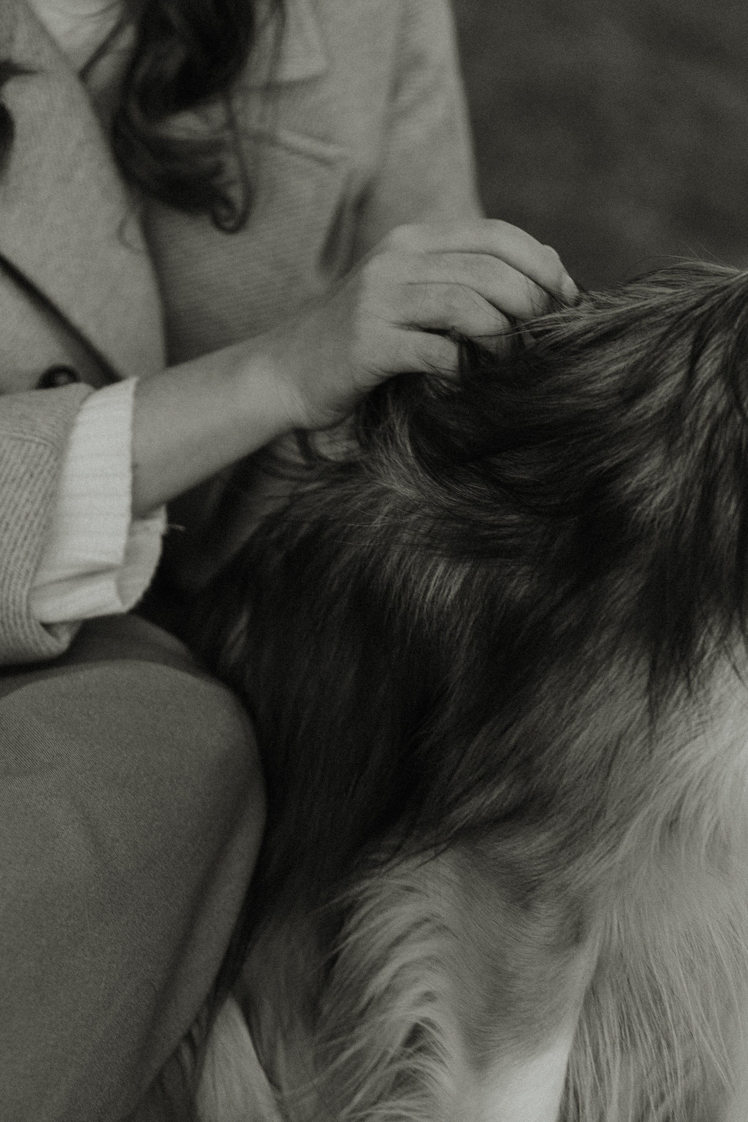 Осенняя съемка Аллы и ее спутника Джея (пакет «Чуть-чуть»). Фотограф Анималист Екатерина Справцева в Нижнем Новгороде