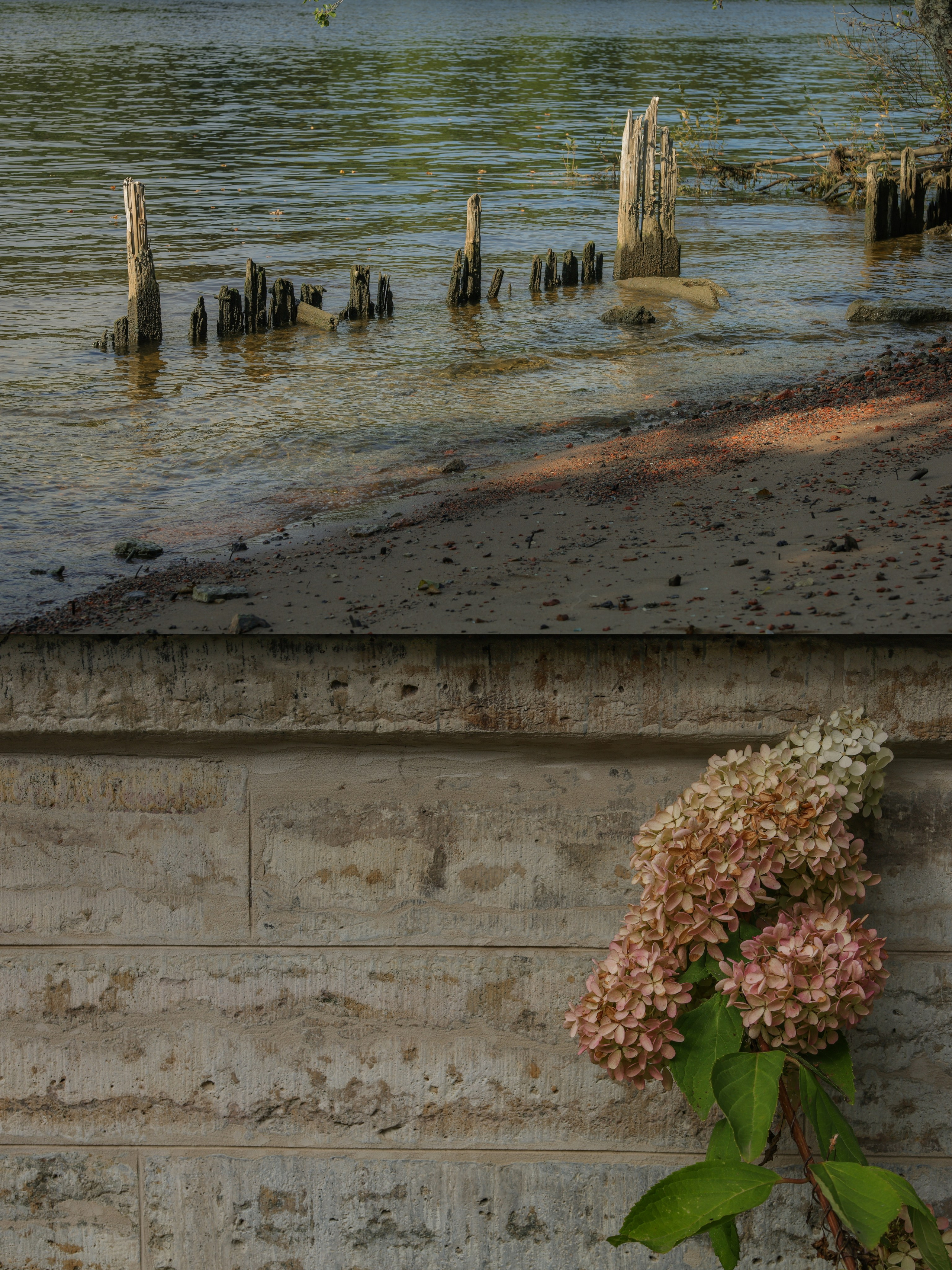 Вода - это успокоительное от бога