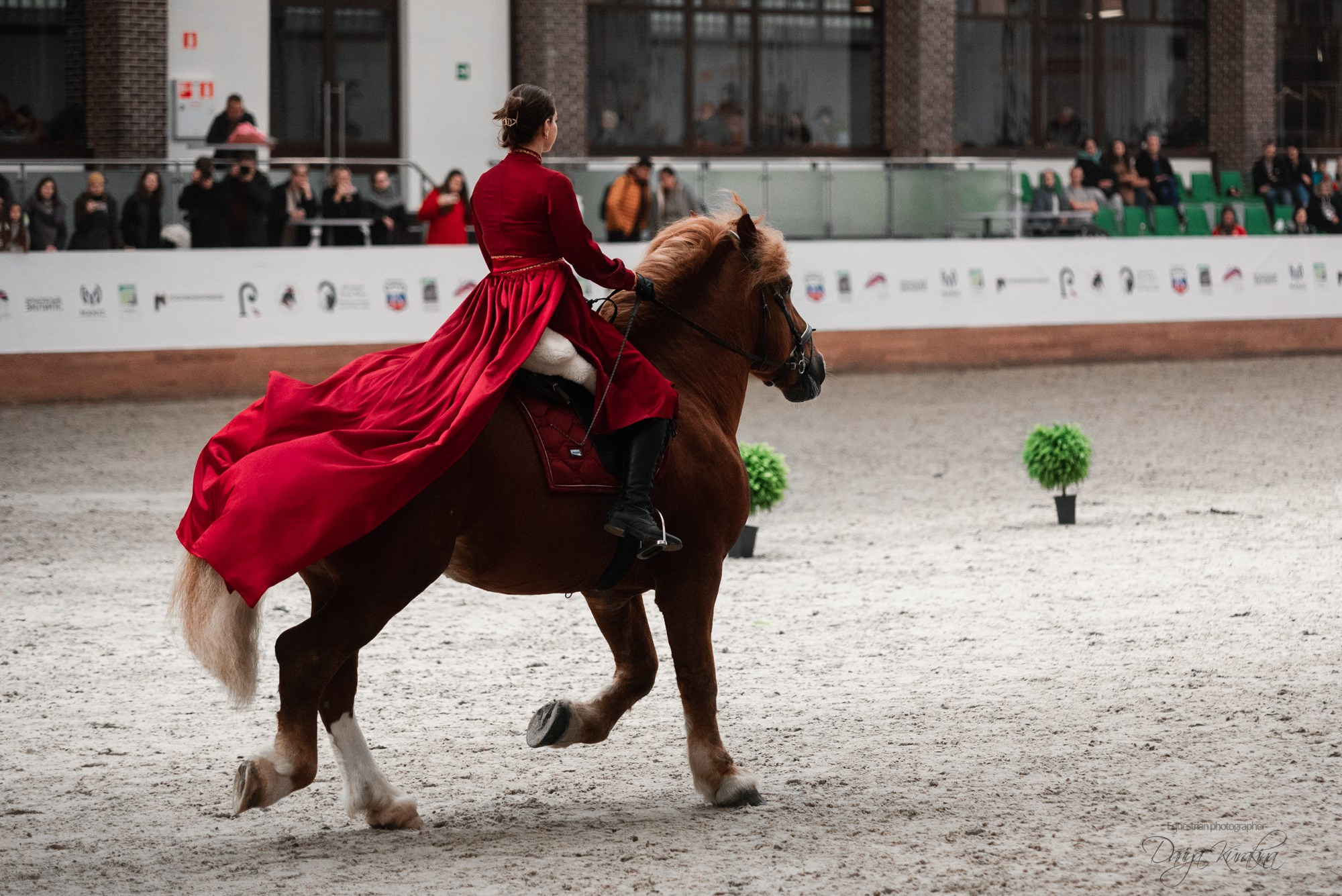 8-я международная выставка Конная Россия. Конный фотограф Куракина Дарья • Фотосессии с лошадьми