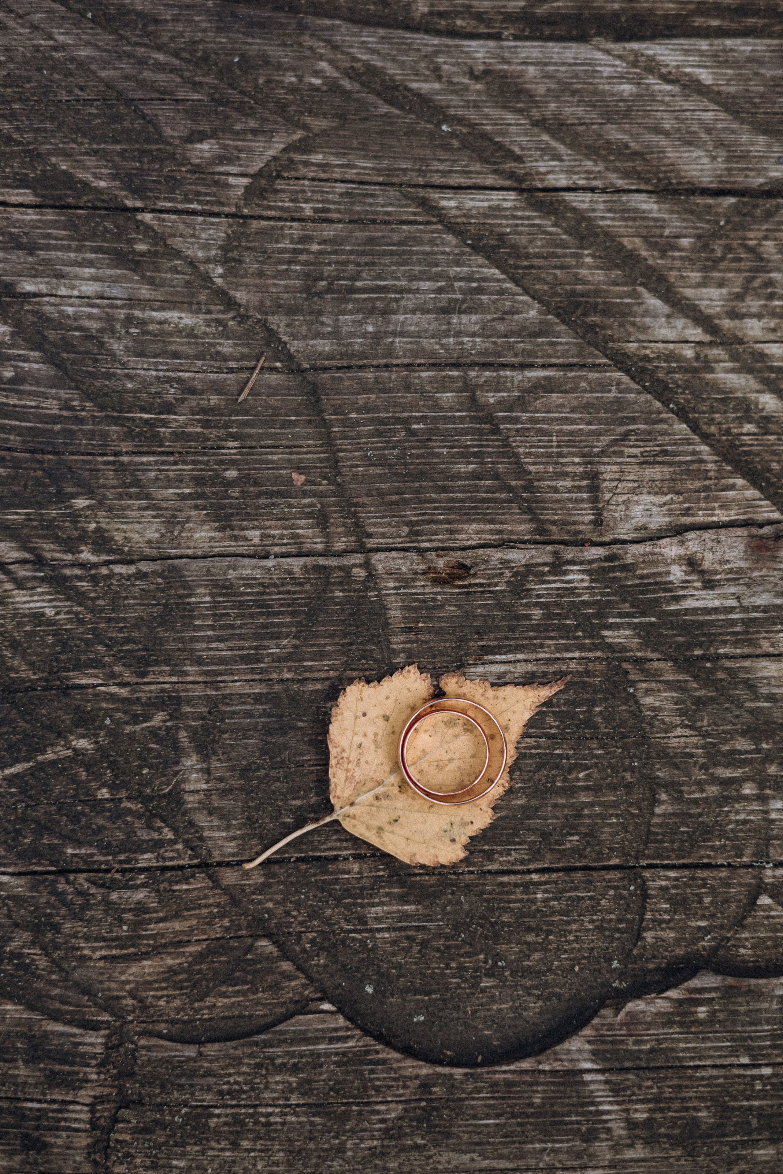 Денис и Яна. Семейный фотограф в Брянске Зурилина Екатерина