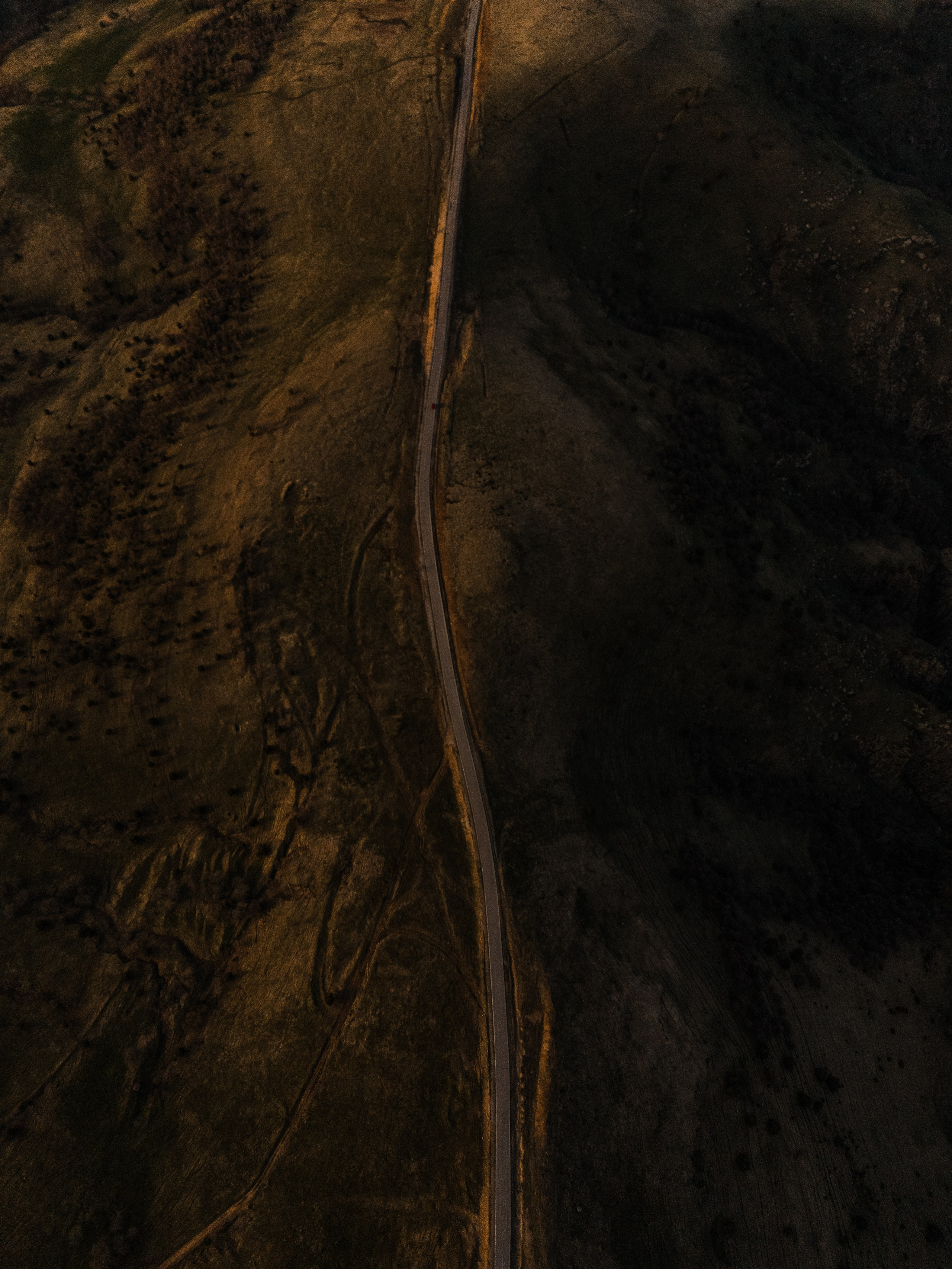 Elbrus. Свадебный и семейный фотограф в Краснодаре Роман Моско