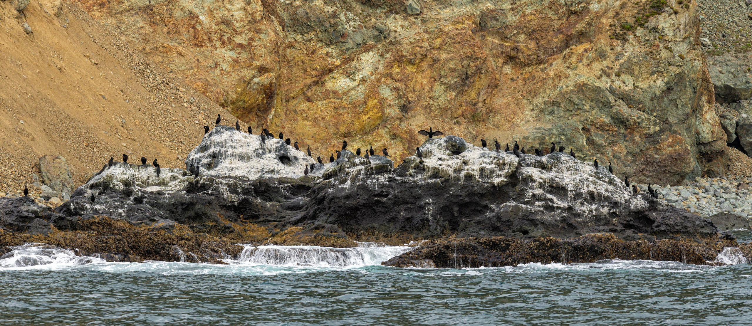 Макс По — фото и видео съемки любого формата