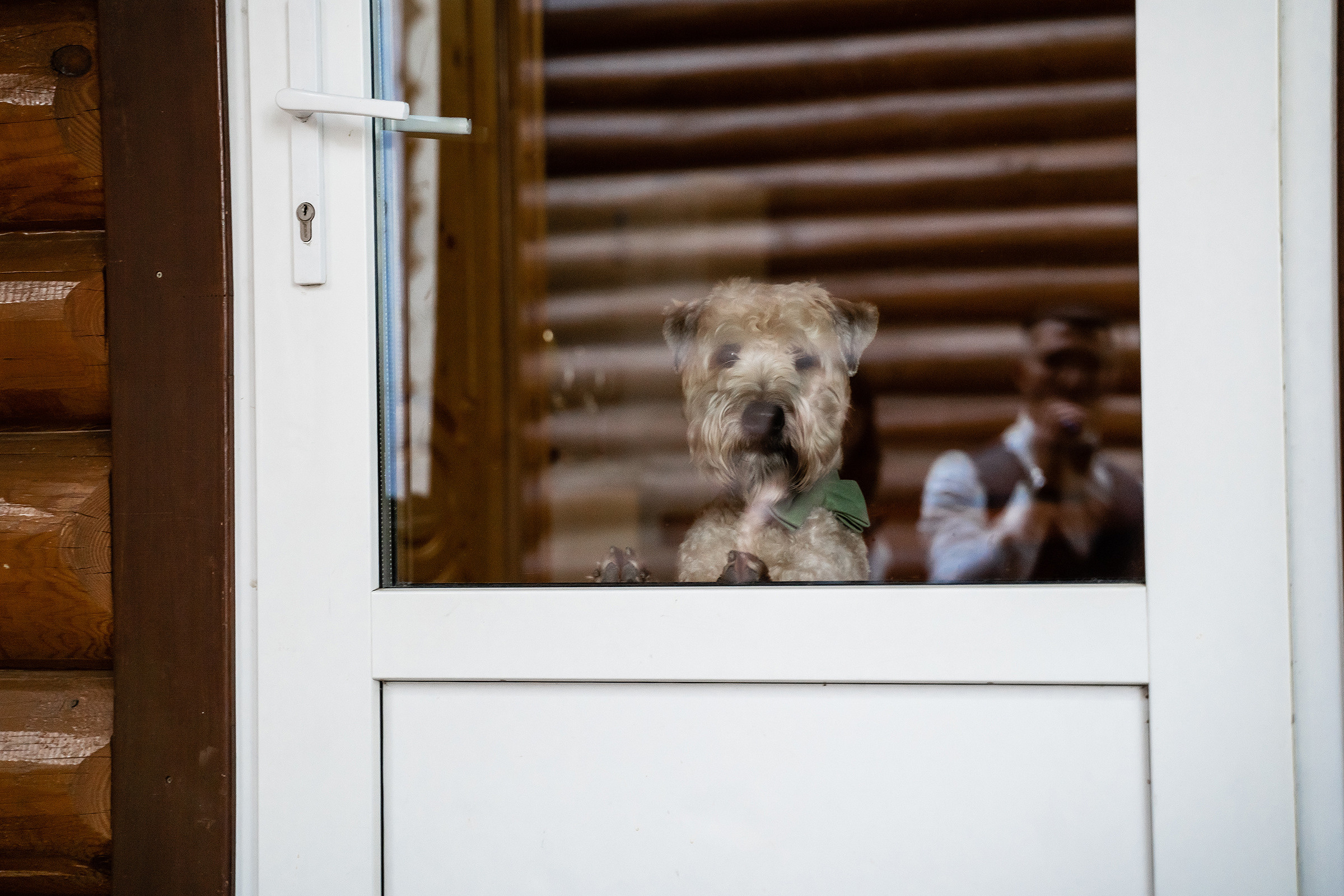 Анастасия и Кирилл. Свадебный фотограф Екатерина Кузнецова