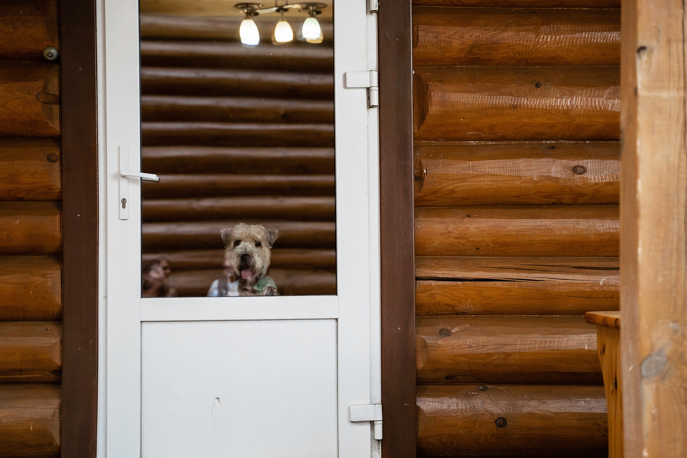 Анастасия и Кирилл. Свадебный фотограф Екатерина Кузнецова