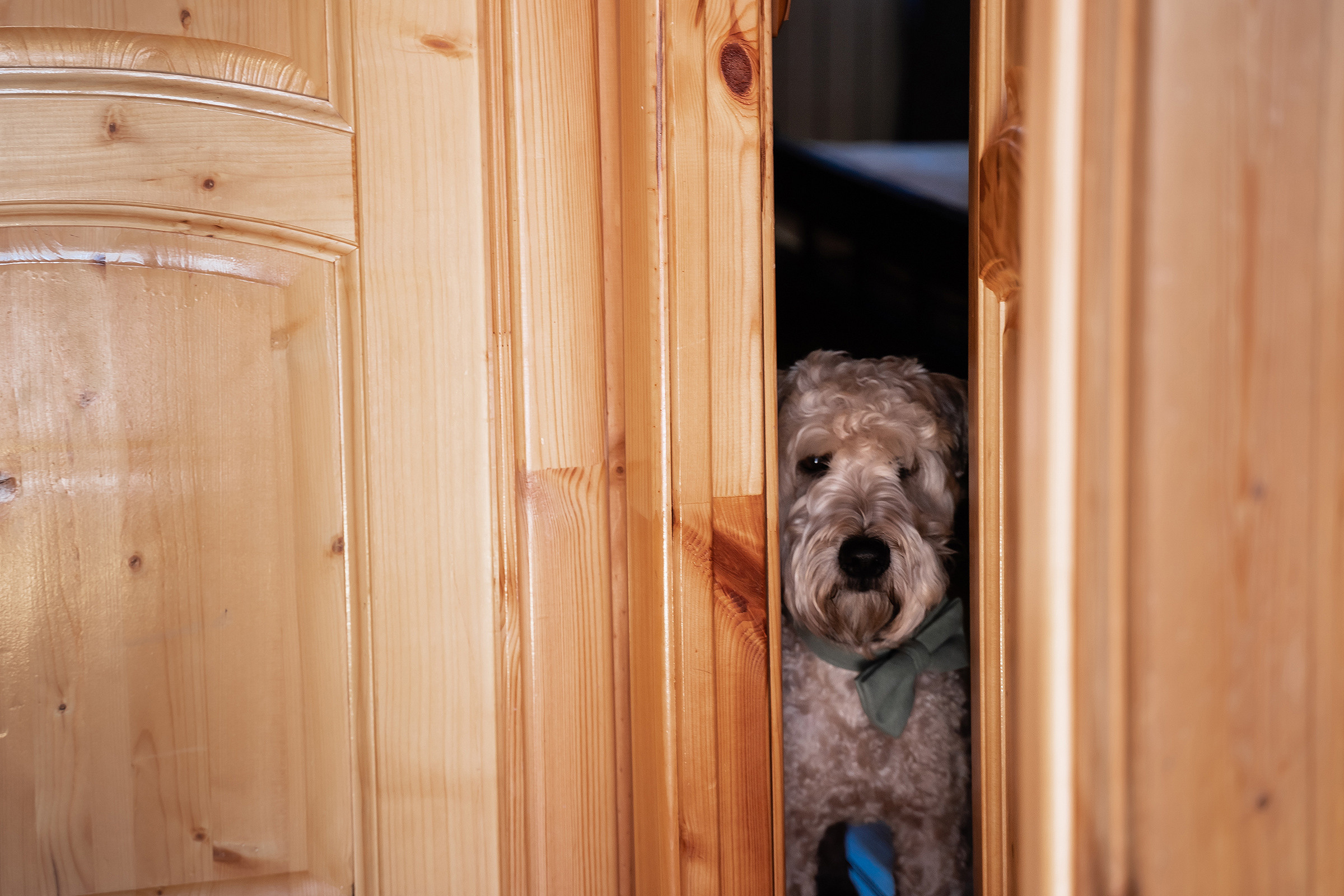 Анастасия и Кирилл. Свадебный фотограф Екатерина Кузнецова