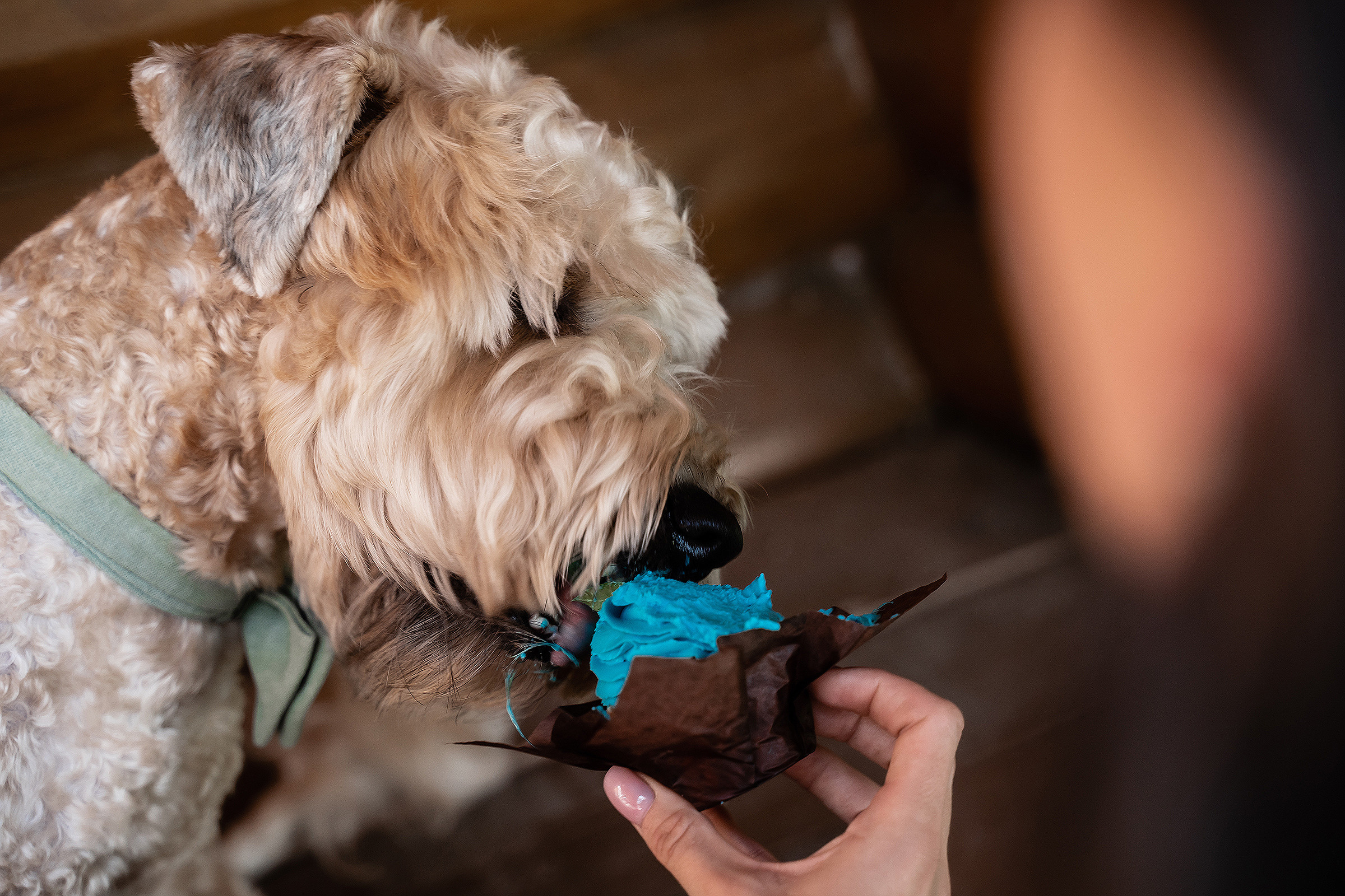 Анастасия и Кирилл. Свадебный фотограф Екатерина Кузнецова