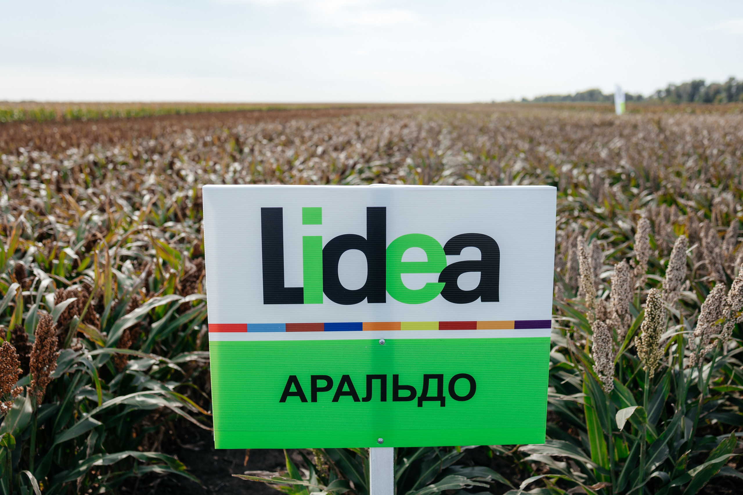 День поля. Фотограф Крохин Олег