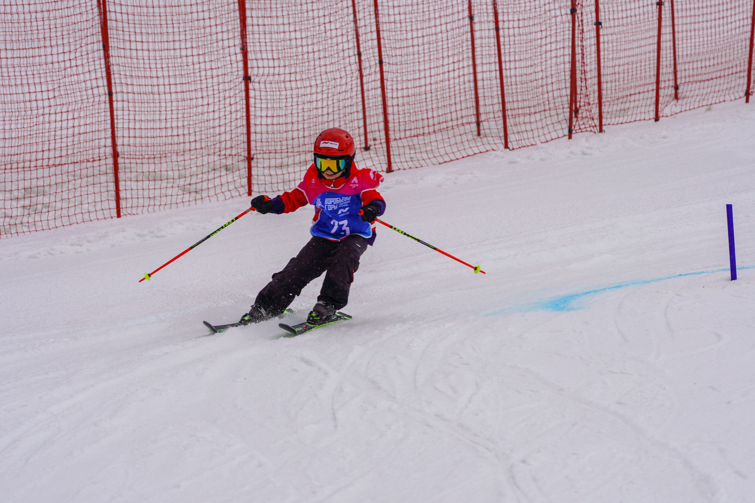 Воробьевы горы 02.02.2025 Соревнования. Главная
