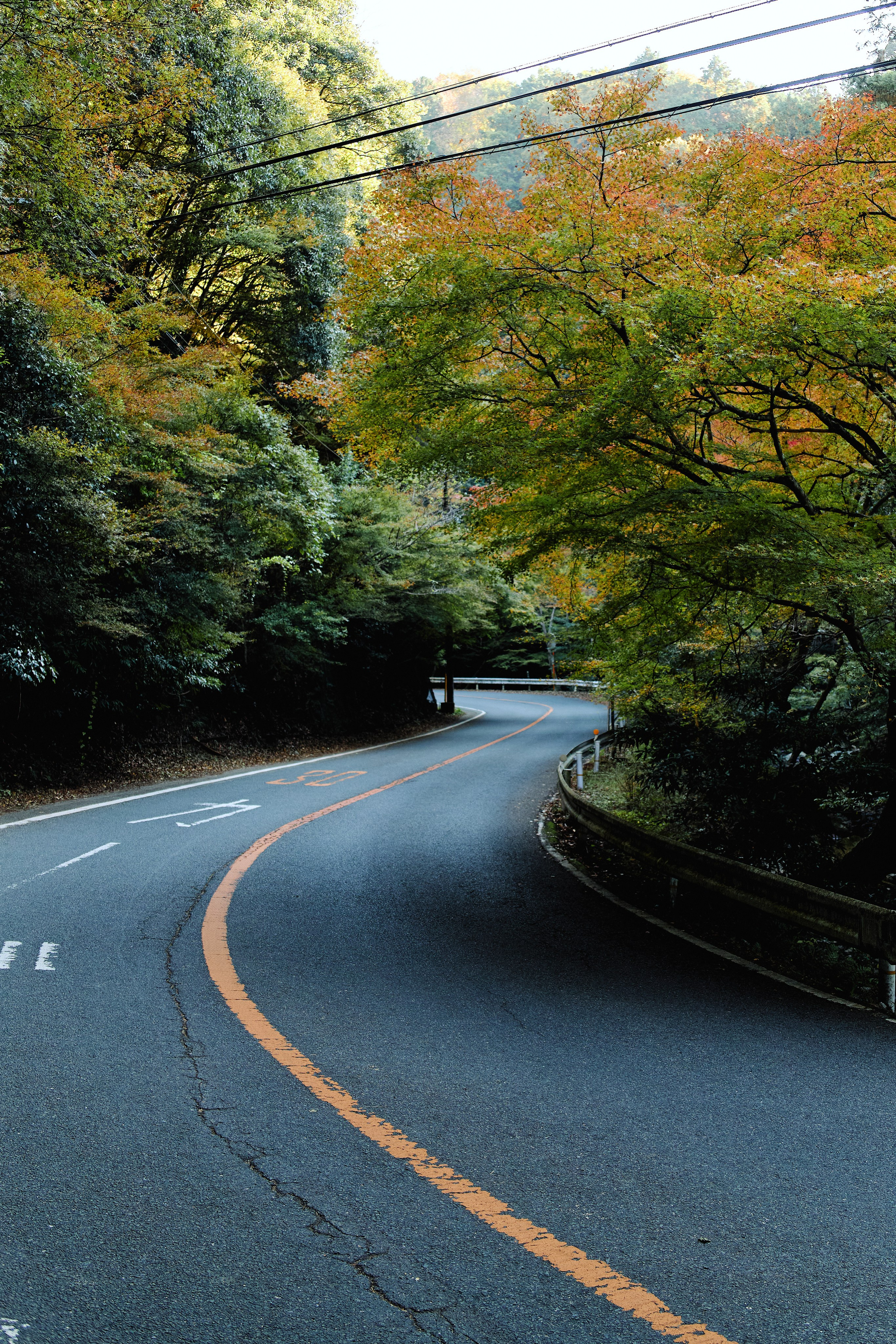 Япония. Профессиональный Фотограф во Владимире, в Москве и в Суздале — Полина Романычева