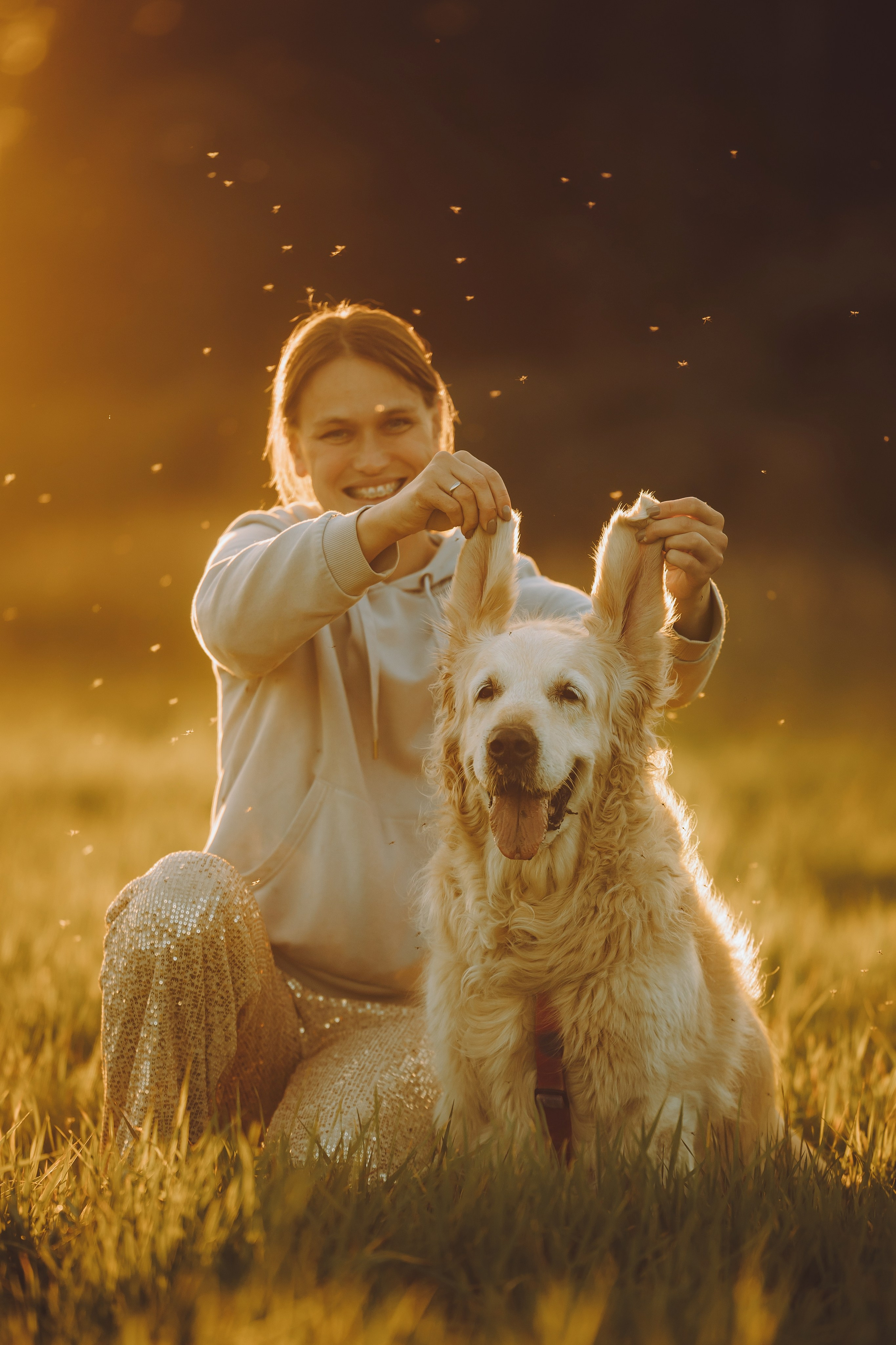 Выездной дог-тренинг от школы «Шерсть имею», Тованово