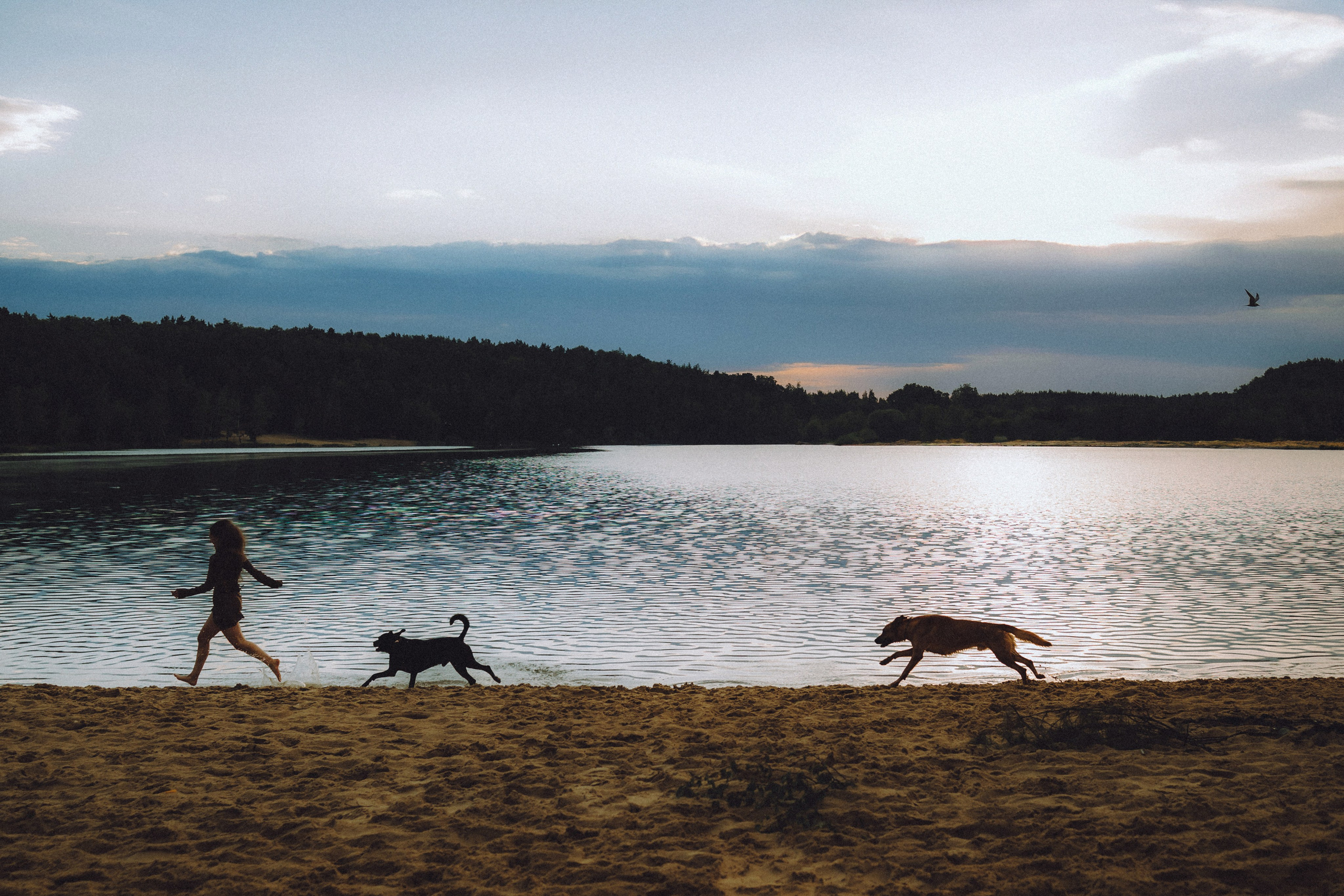 Роби, Тео и их семья