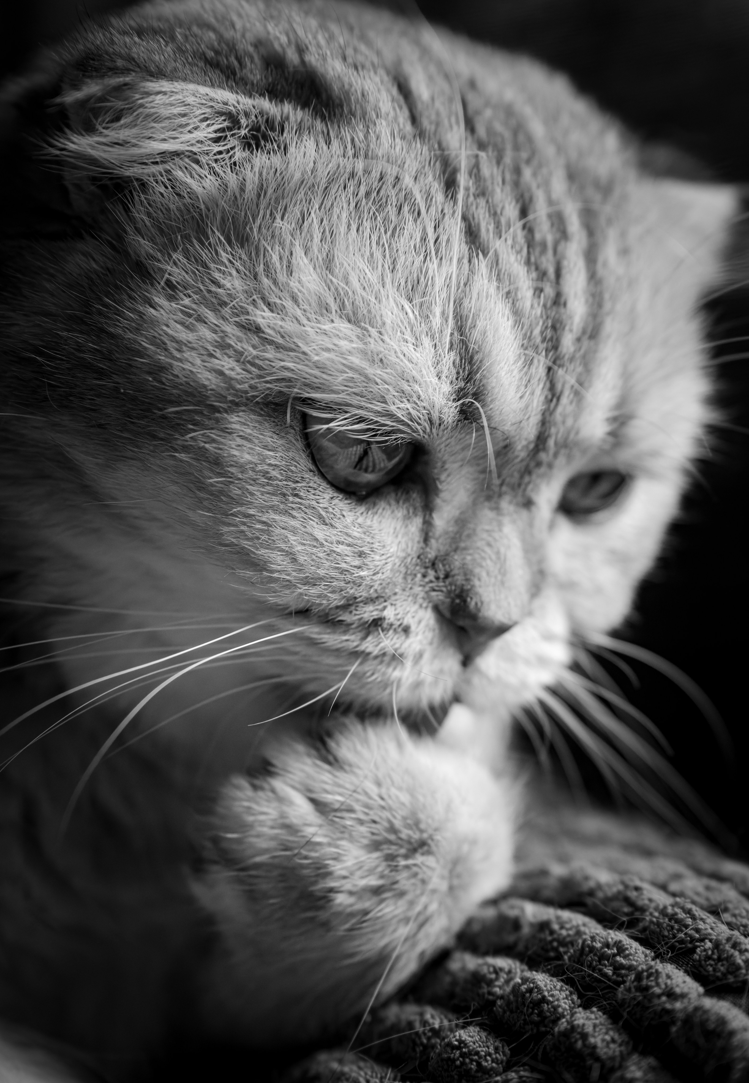 Арт. Oles Paritskiy