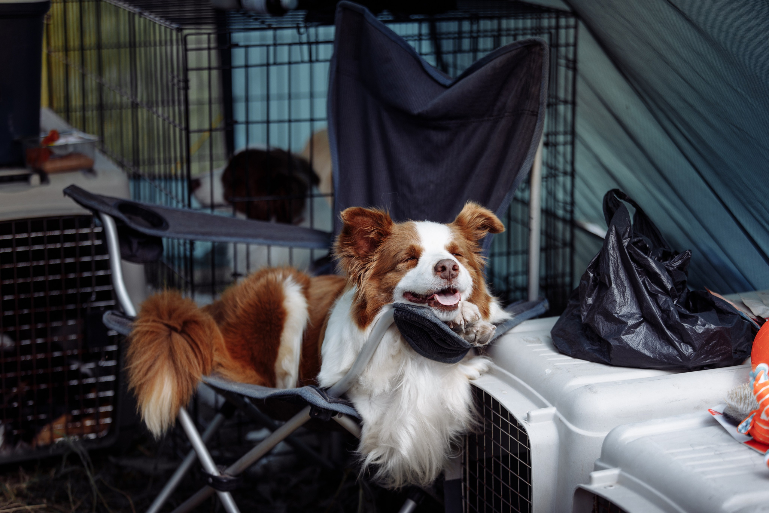 Оренбург с моно 22. О нас