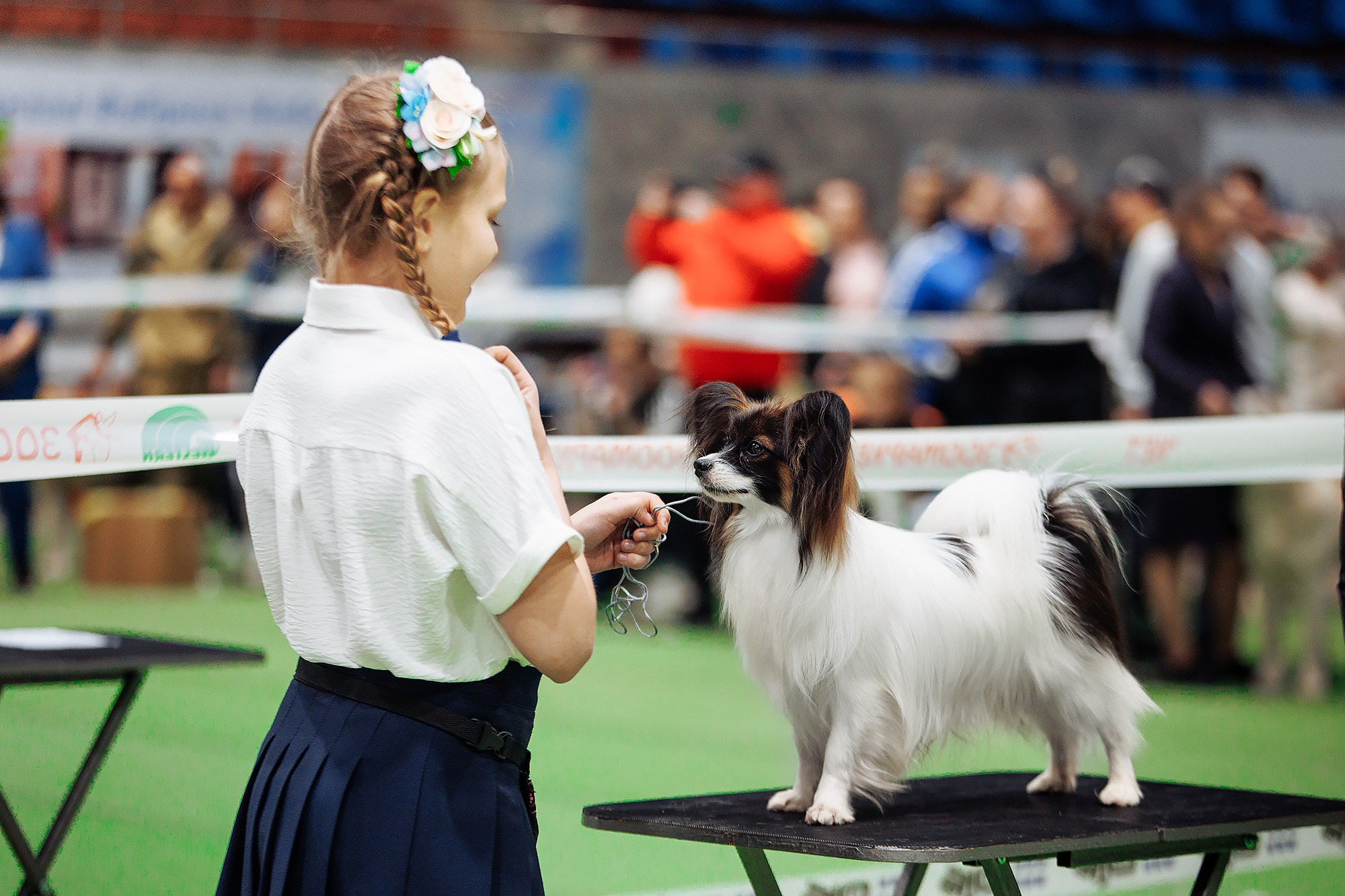 Магний 23. О нас