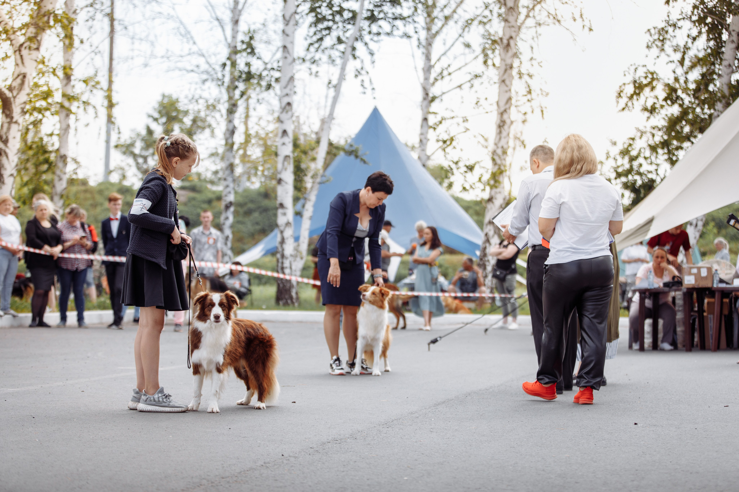 Оренбург с моно 22. О нас