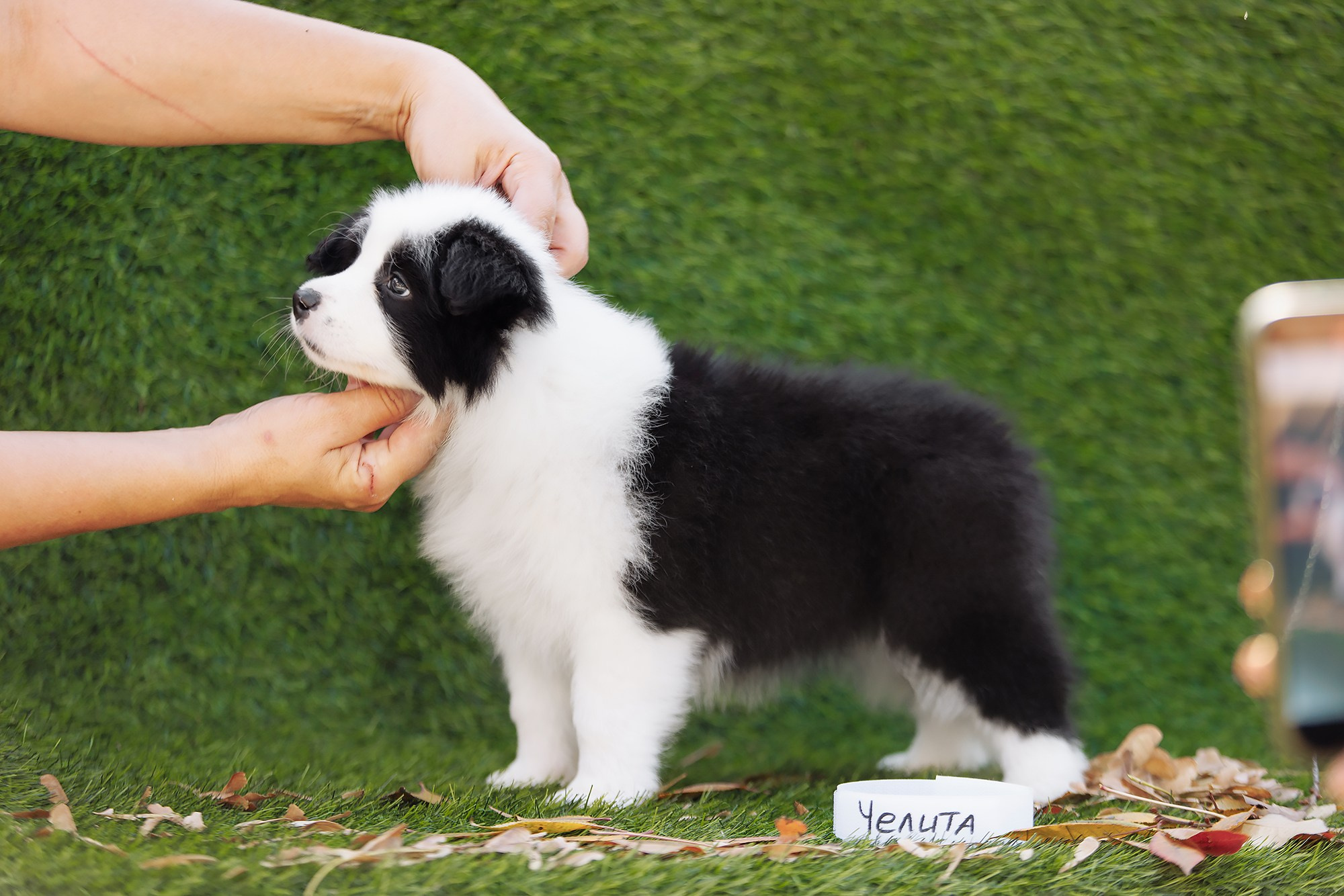 Новый лист. О нас