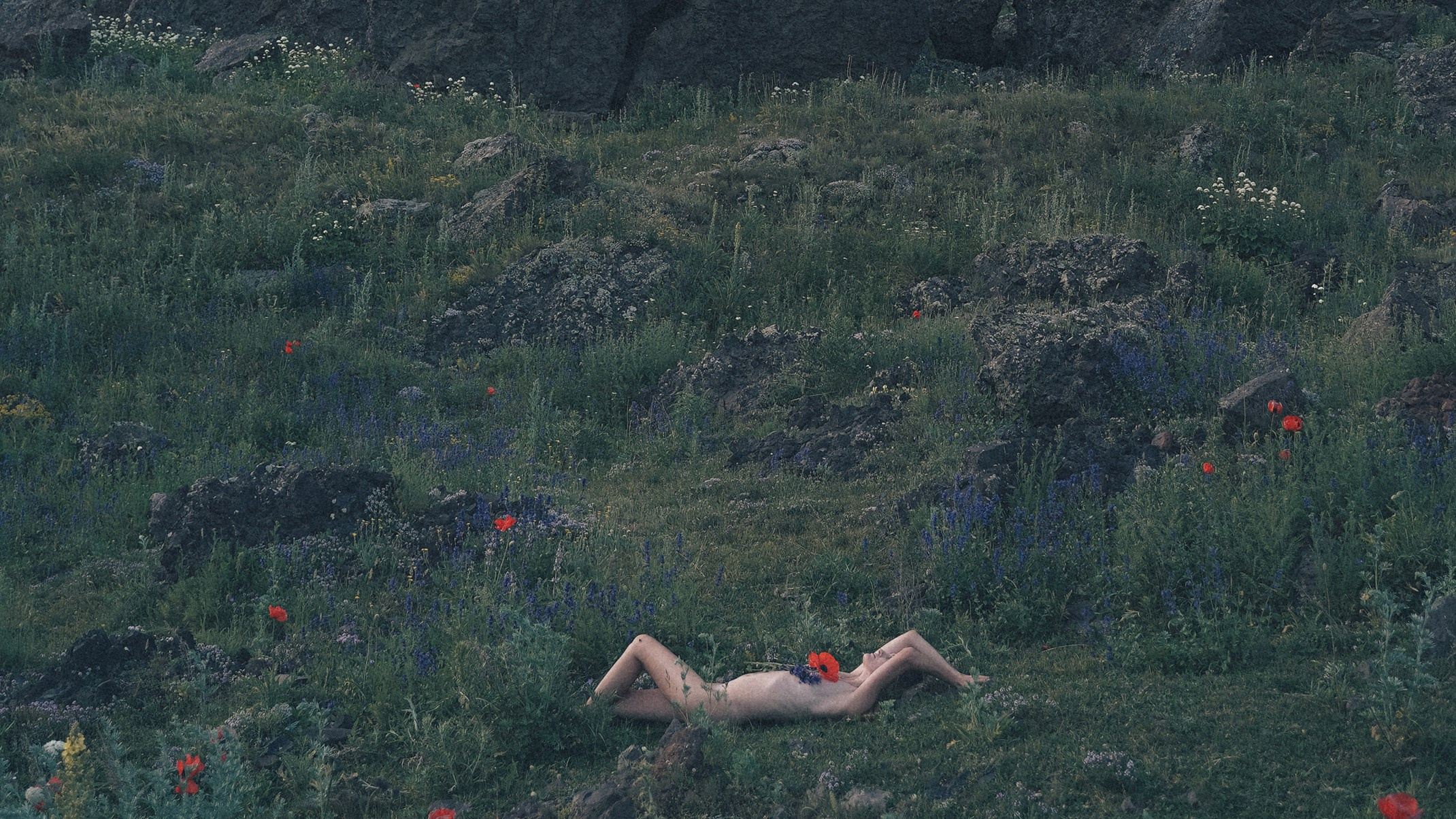 Зелёный дом. Алиса Аницкая