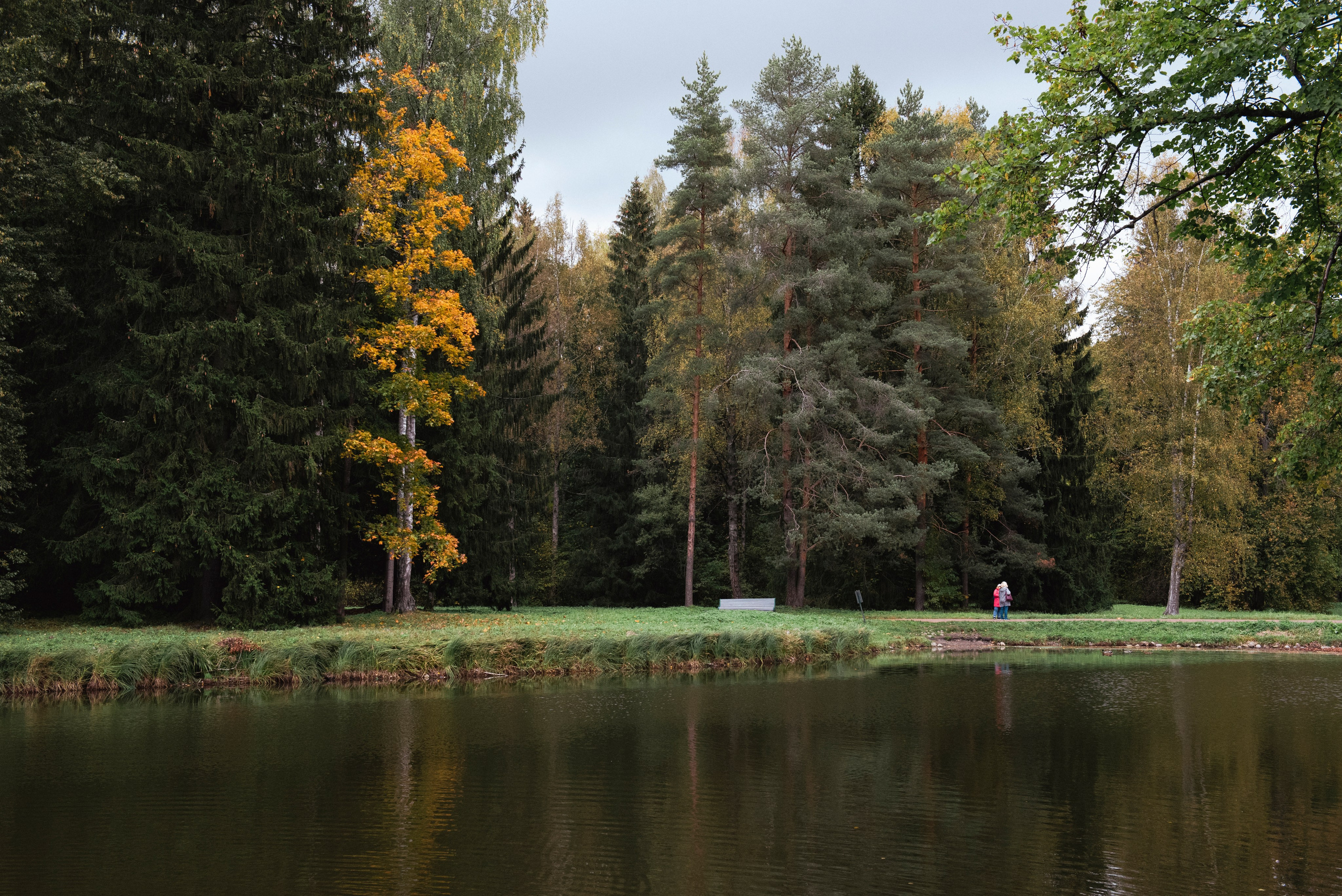 Павловский парк. Портретный и архитектурный фотограф в Москве и Санкт-Петербурге